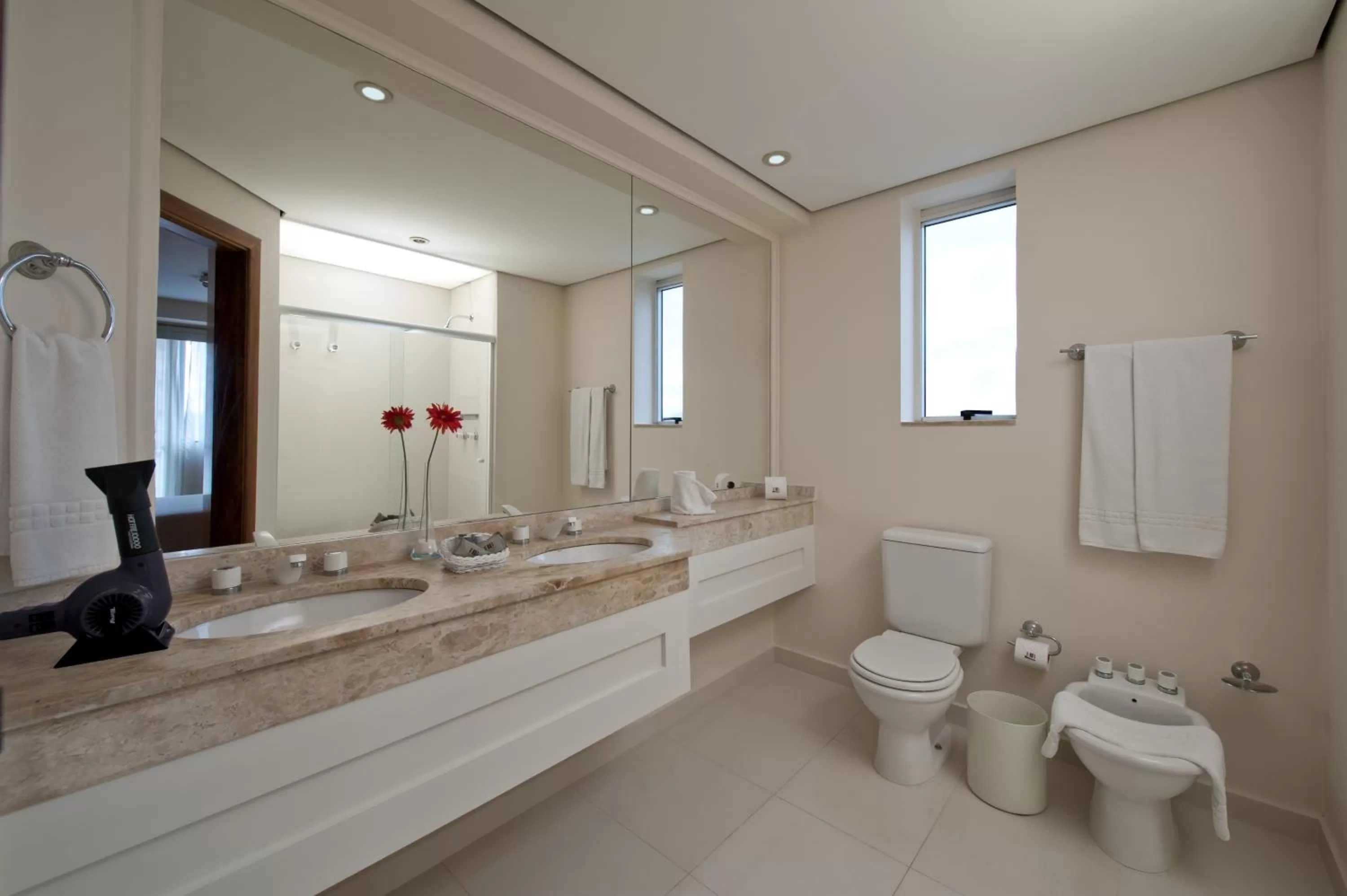 Deluxe Twin Apartment - single occupancy in Hotel Sequóia Alphaville