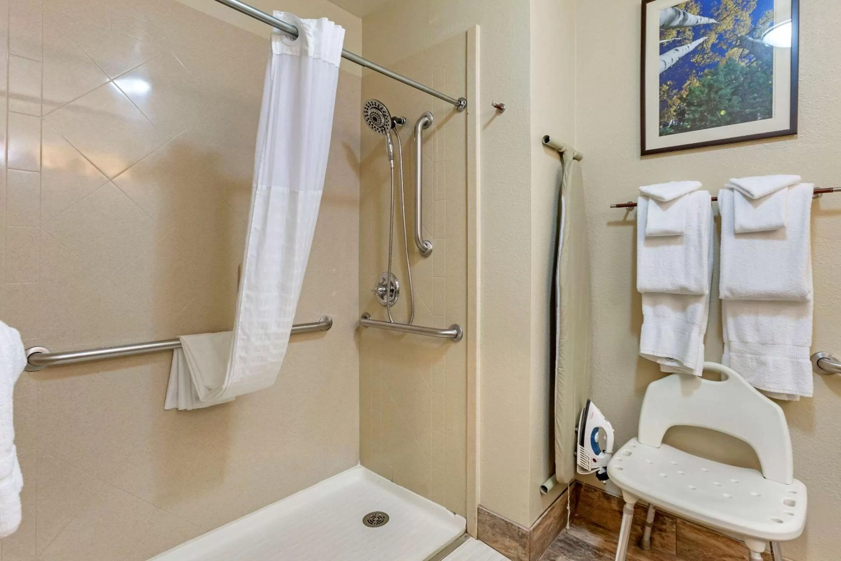 Queen Room with Roll-In Shower - Accessible/Non-Smoking in Comfort Inn Flagstaff South I-17