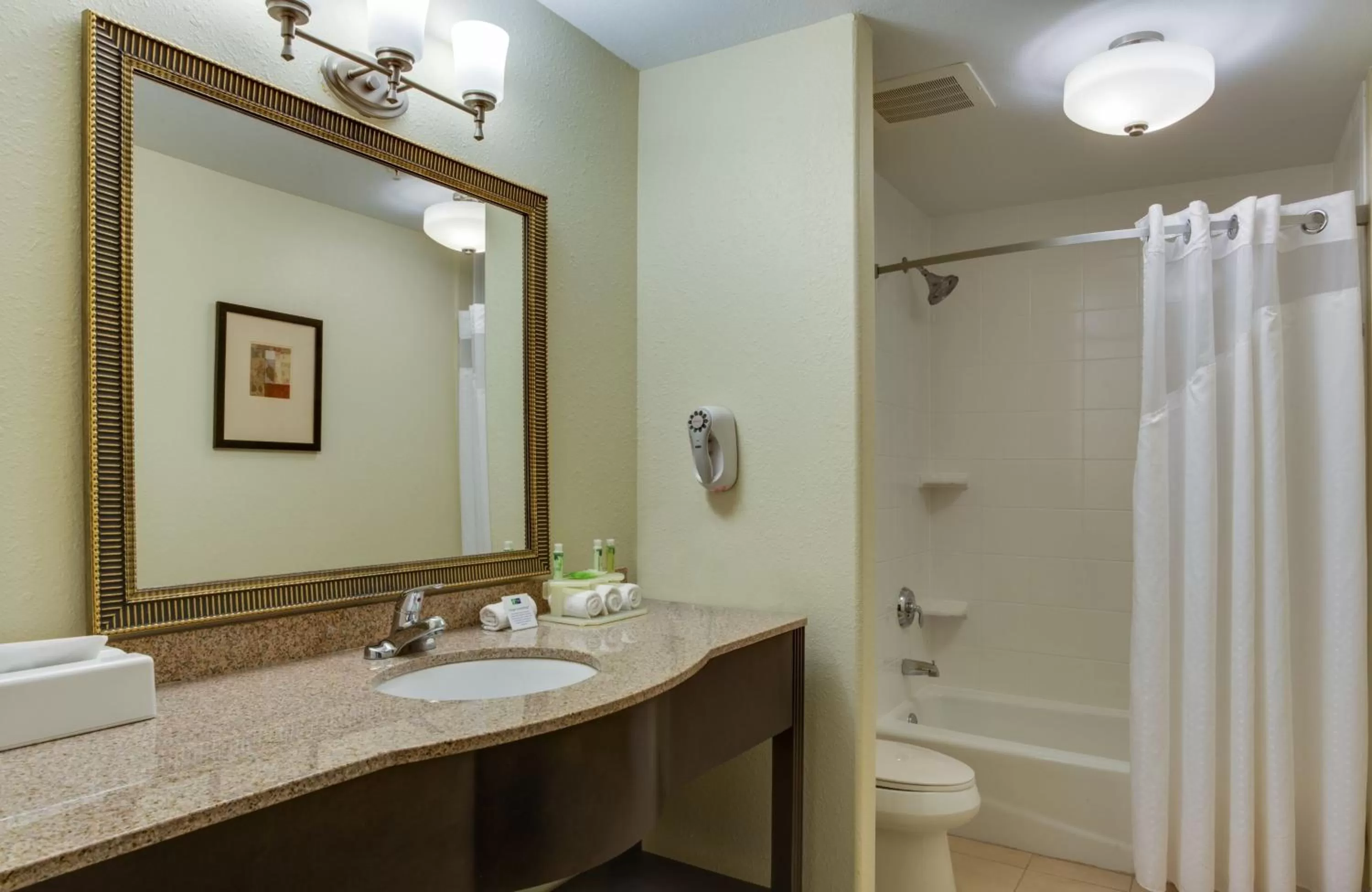 Two-Bedroom King Suite - Non-Smoking in Holiday Inn Express & Suites Moultrie by IHG