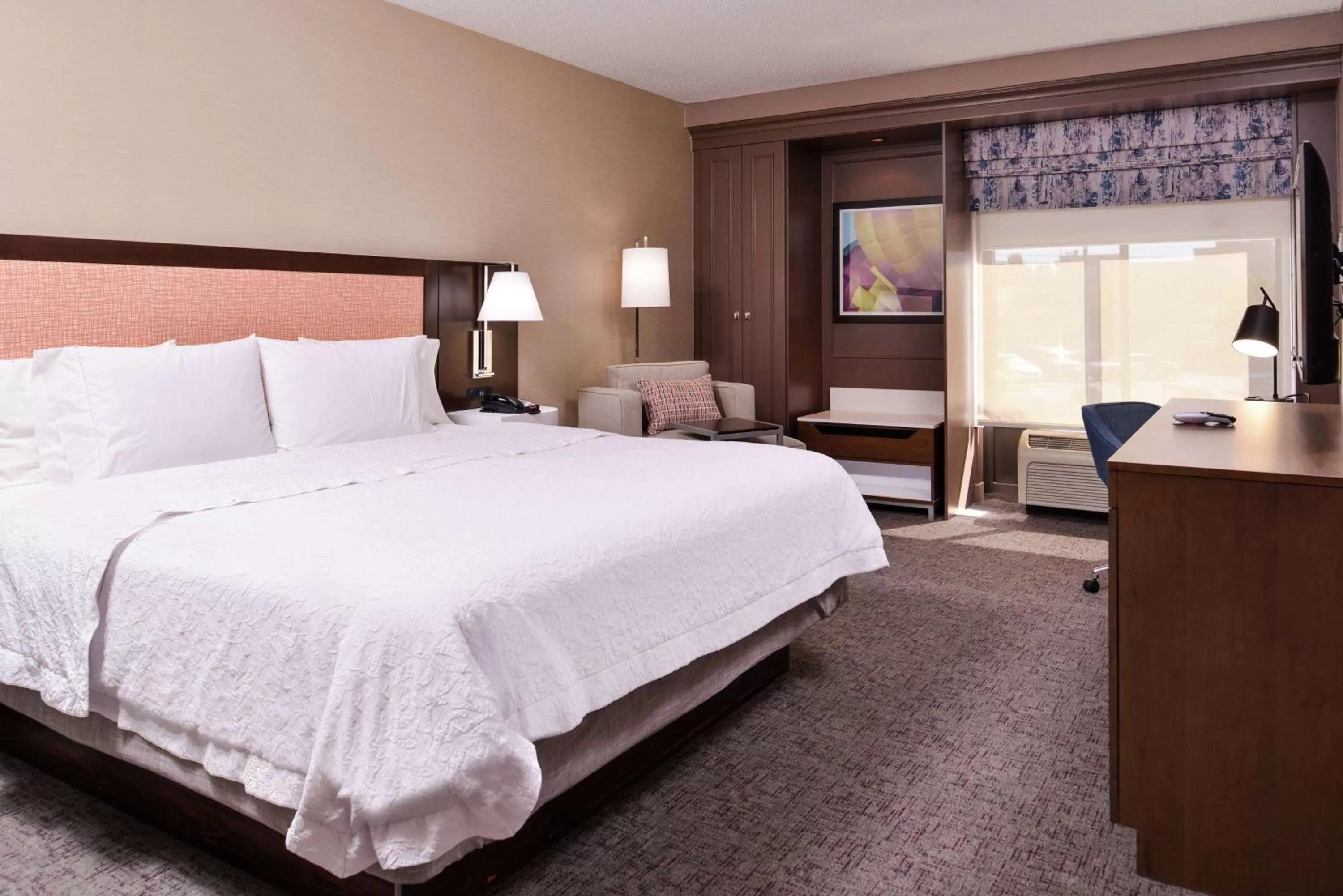 King Room with King Bed - Non-Smoking in Hampton Inn Albuquerque - University/Midtown