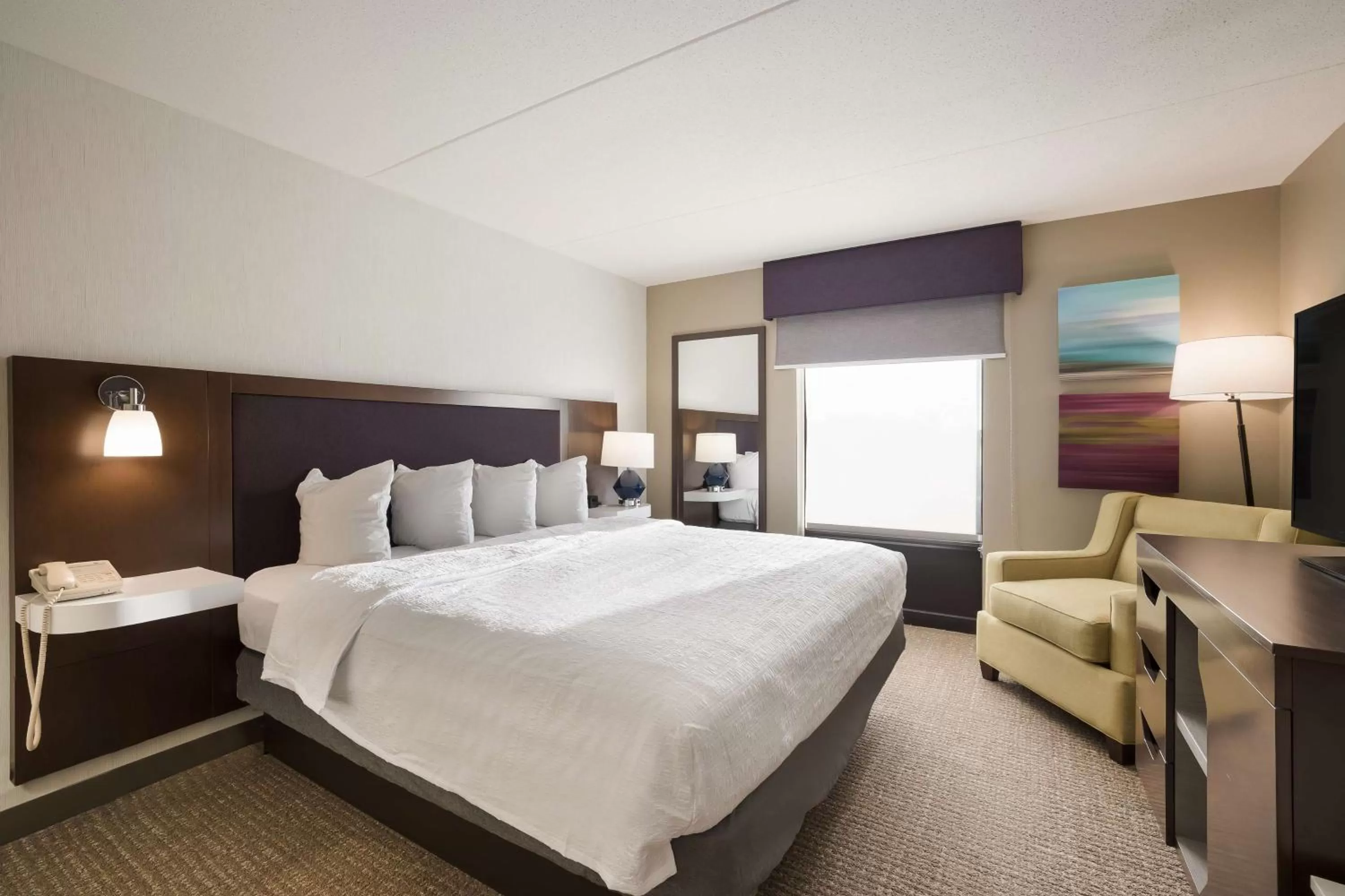 One Bedroom King Suite - Non Smoking  in Hampton Inn McHenry