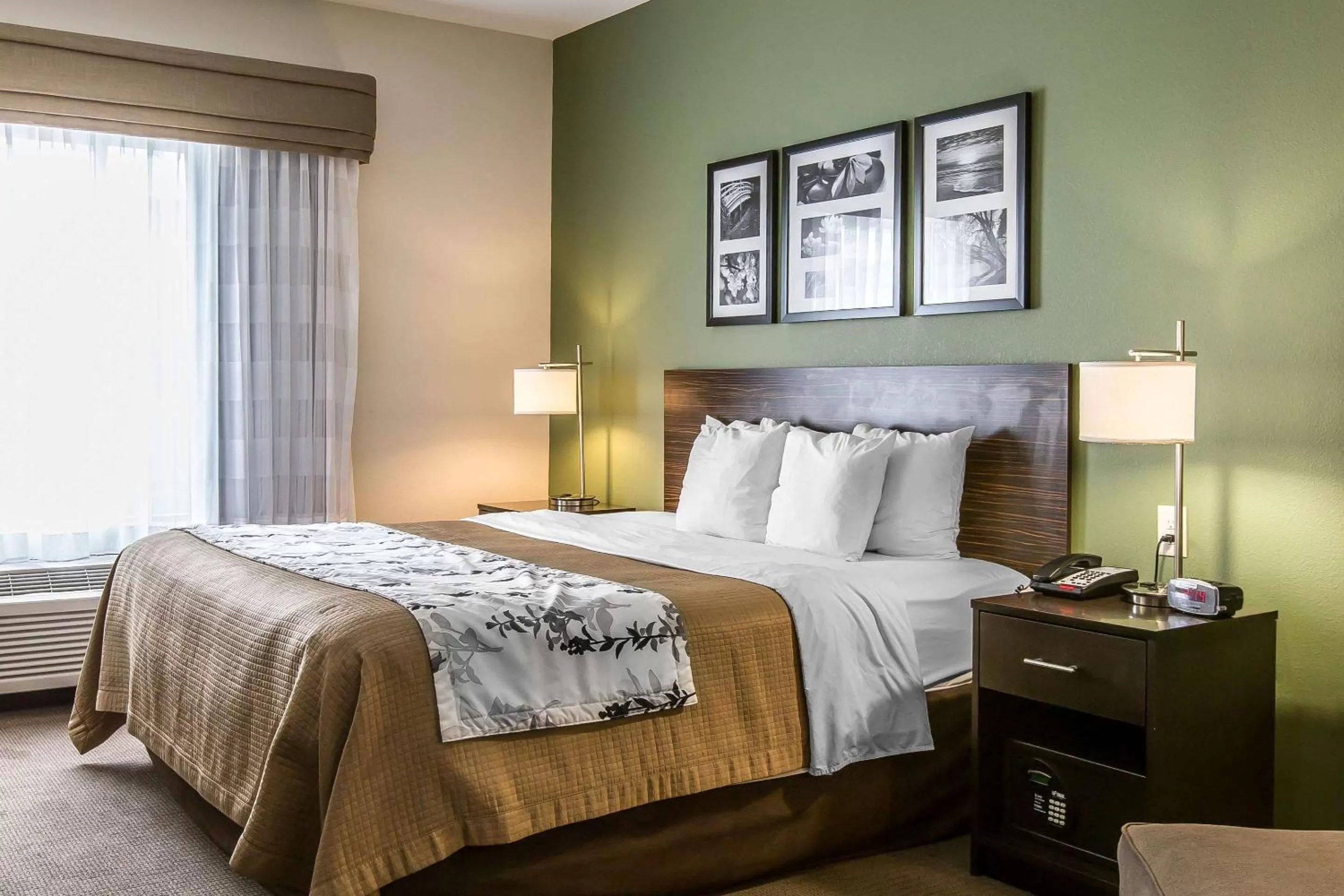King Room - Non-Smoking in Sleep Inn & Suites Mount Olive North