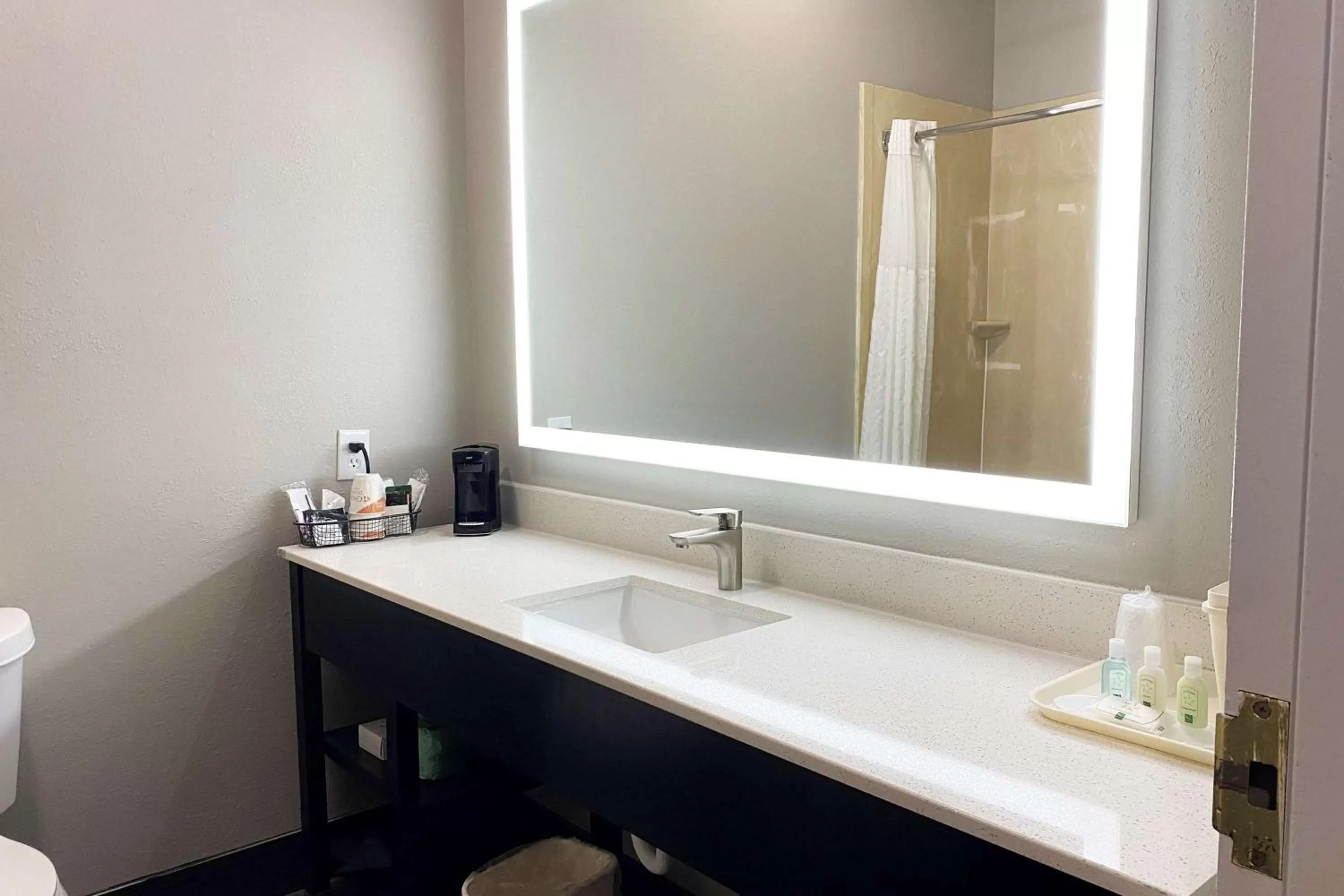 King Room with Roll-in Shower - Mobility Access/Non-Smoking in Wingate by Wyndham Biloxi - Ocean Springs
