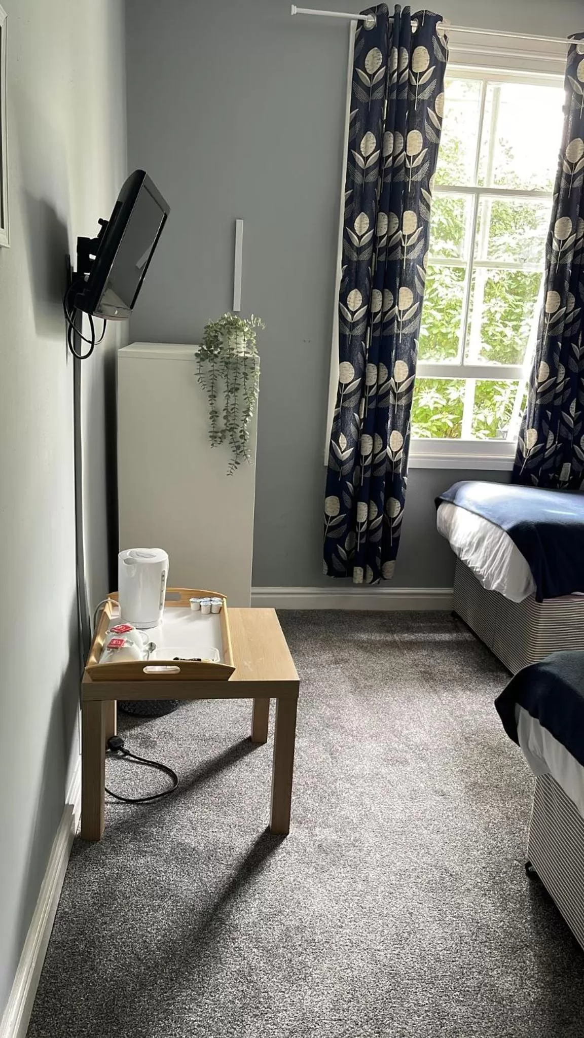 Standard Twin Room - single occupancy in The Grey Horse