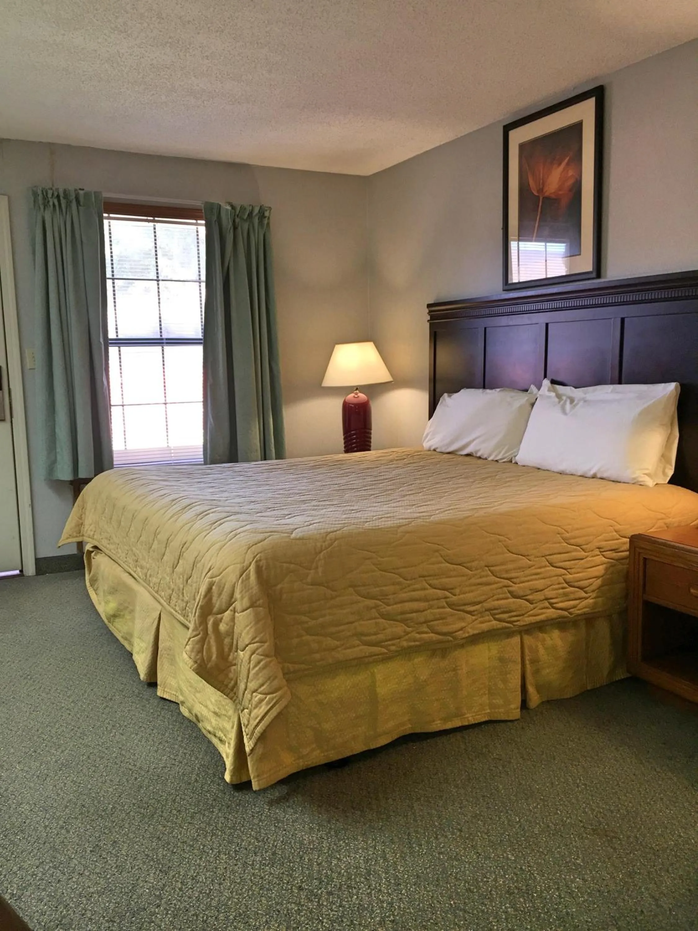 Single Room - Disability Access in HOTEL DEL SOL - Pensacola