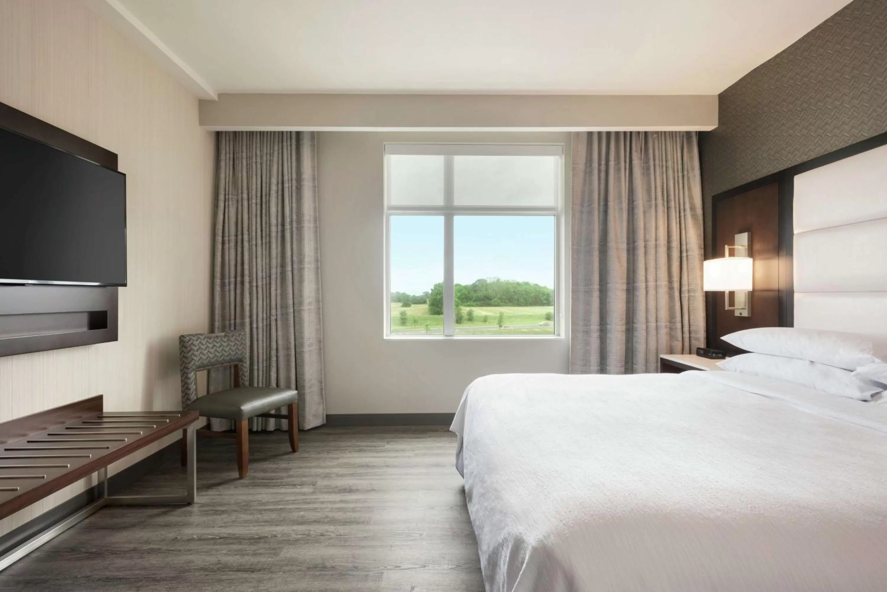 Two-Room King Suite in Embassy Suites By Hilton Noblesville Indianapolis Conv Ctr