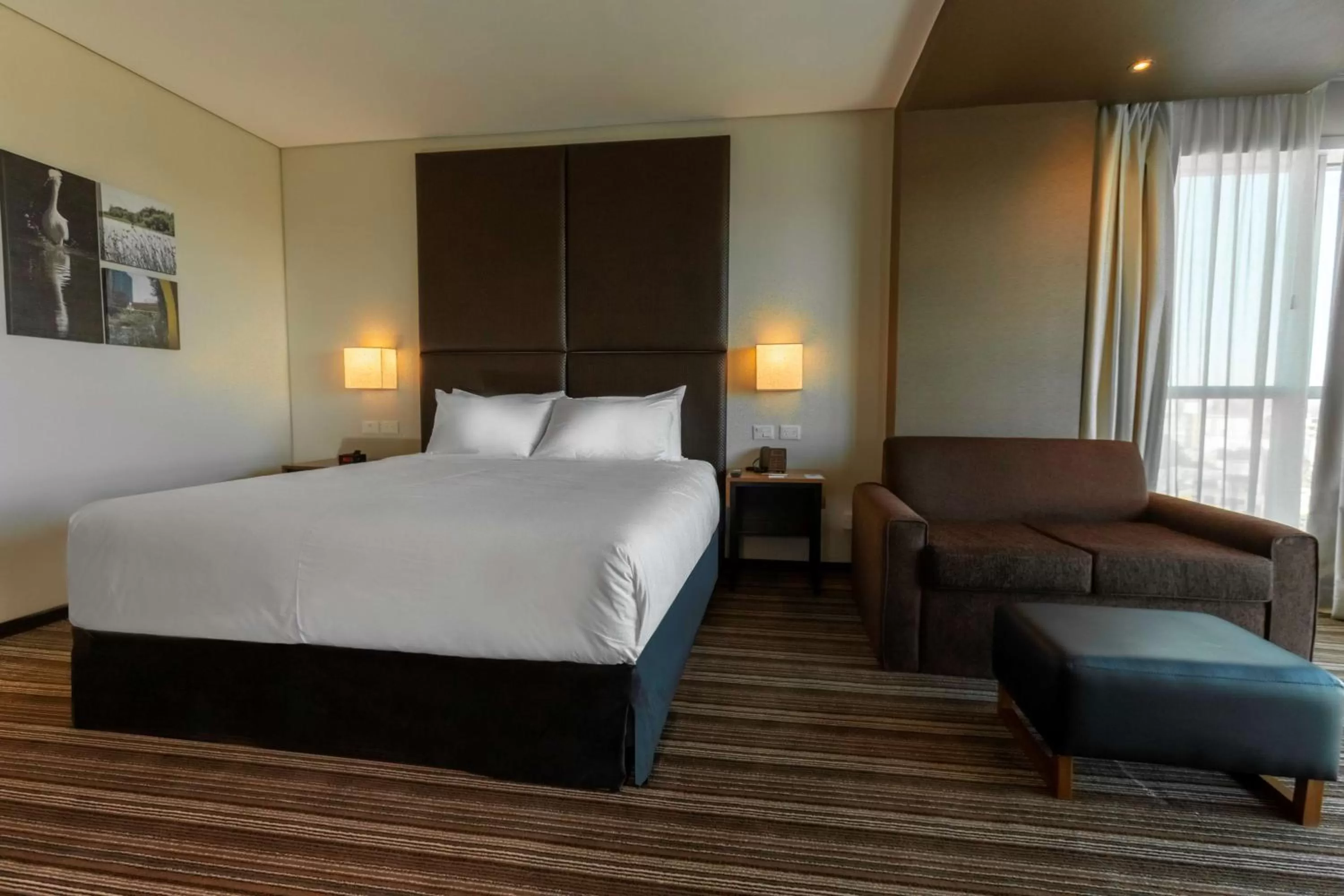 One-Bedroom King Suite in Hilton Garden Inn Neuquen