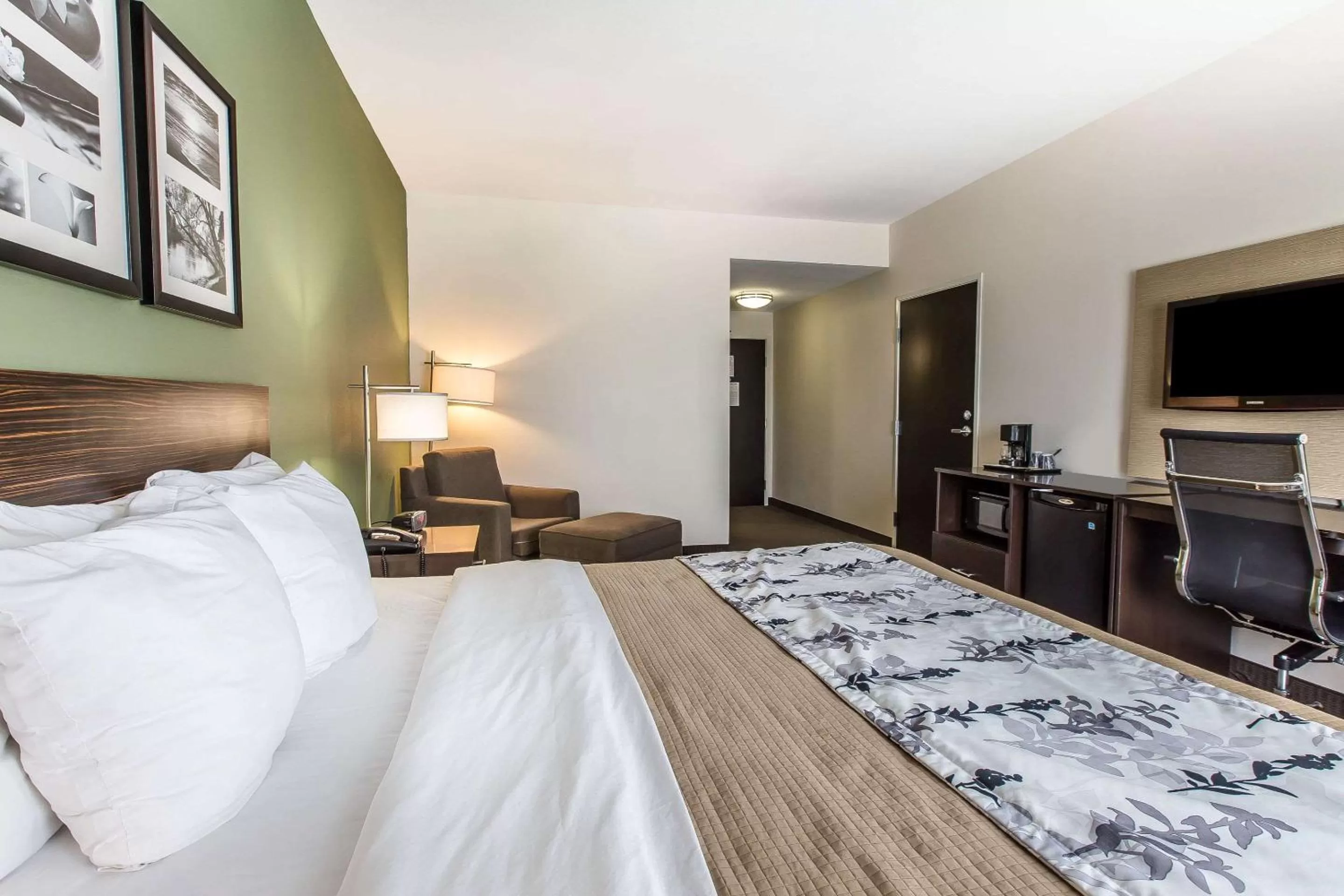 King Room with Accessible Tub - Accessible/Non-Smoking in Sleep Inn & Suites Mount Olive North