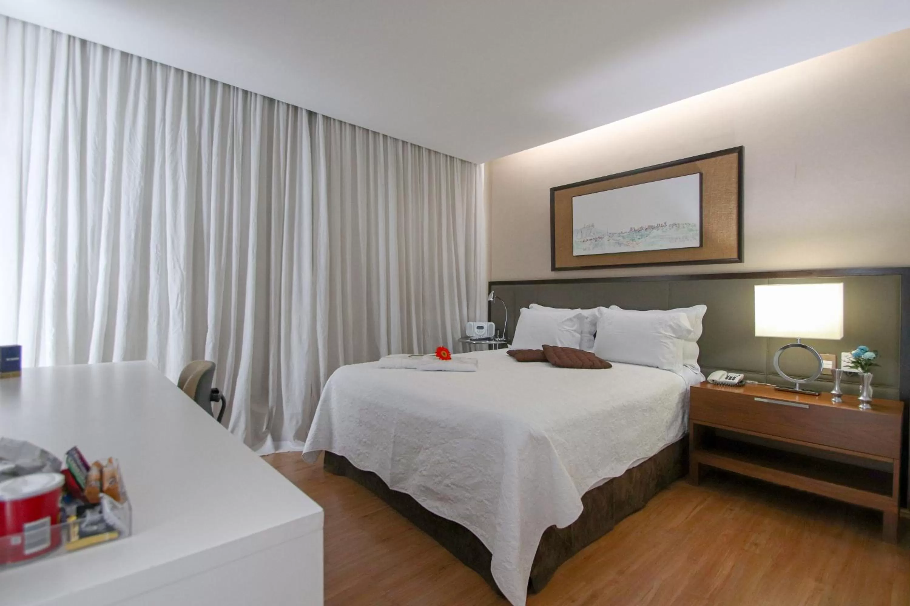 Deluxe Suite in Belo Horizonte Plaza