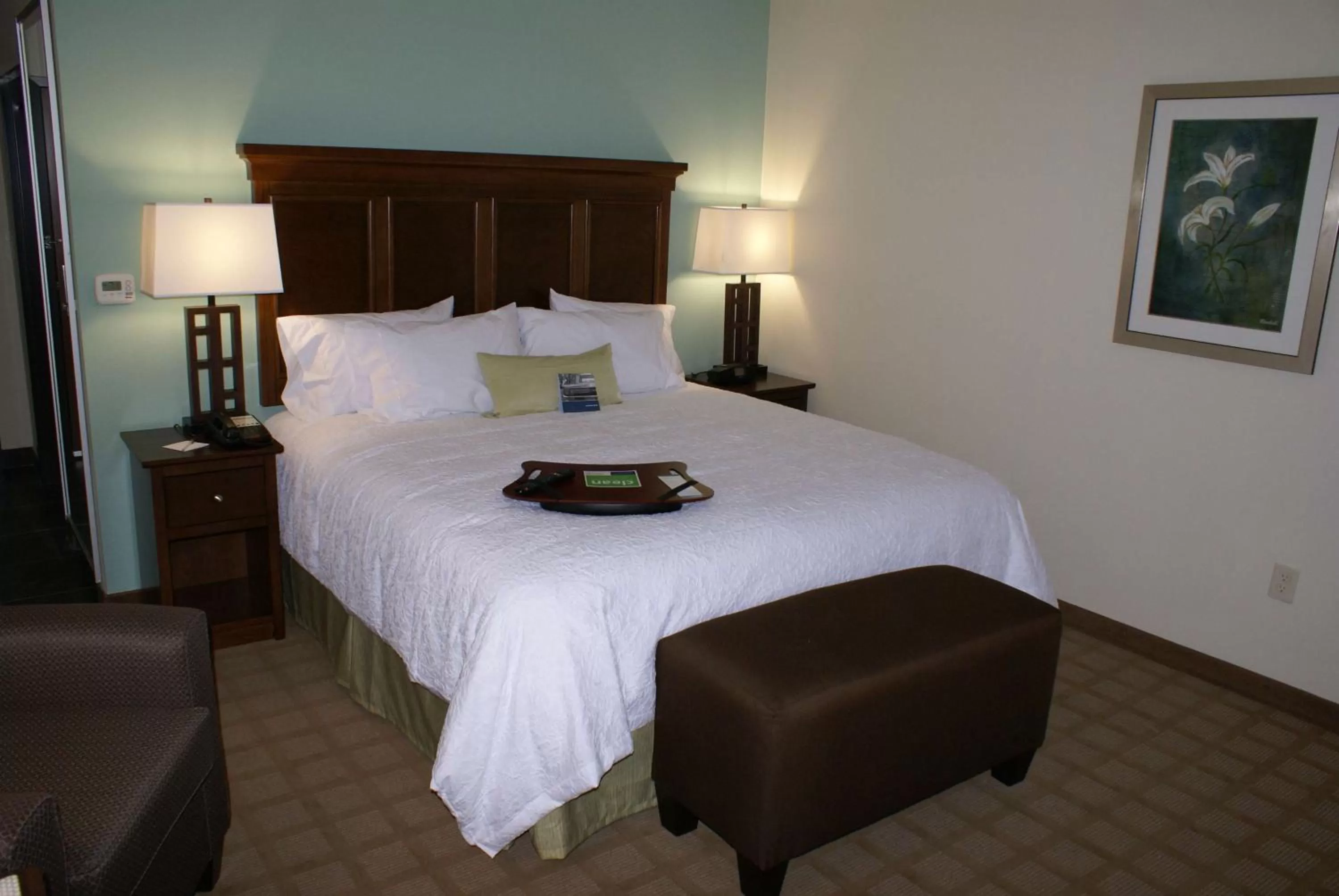 King Room with King Bed - Non-Smoking in Hampton Inn & Suites Center