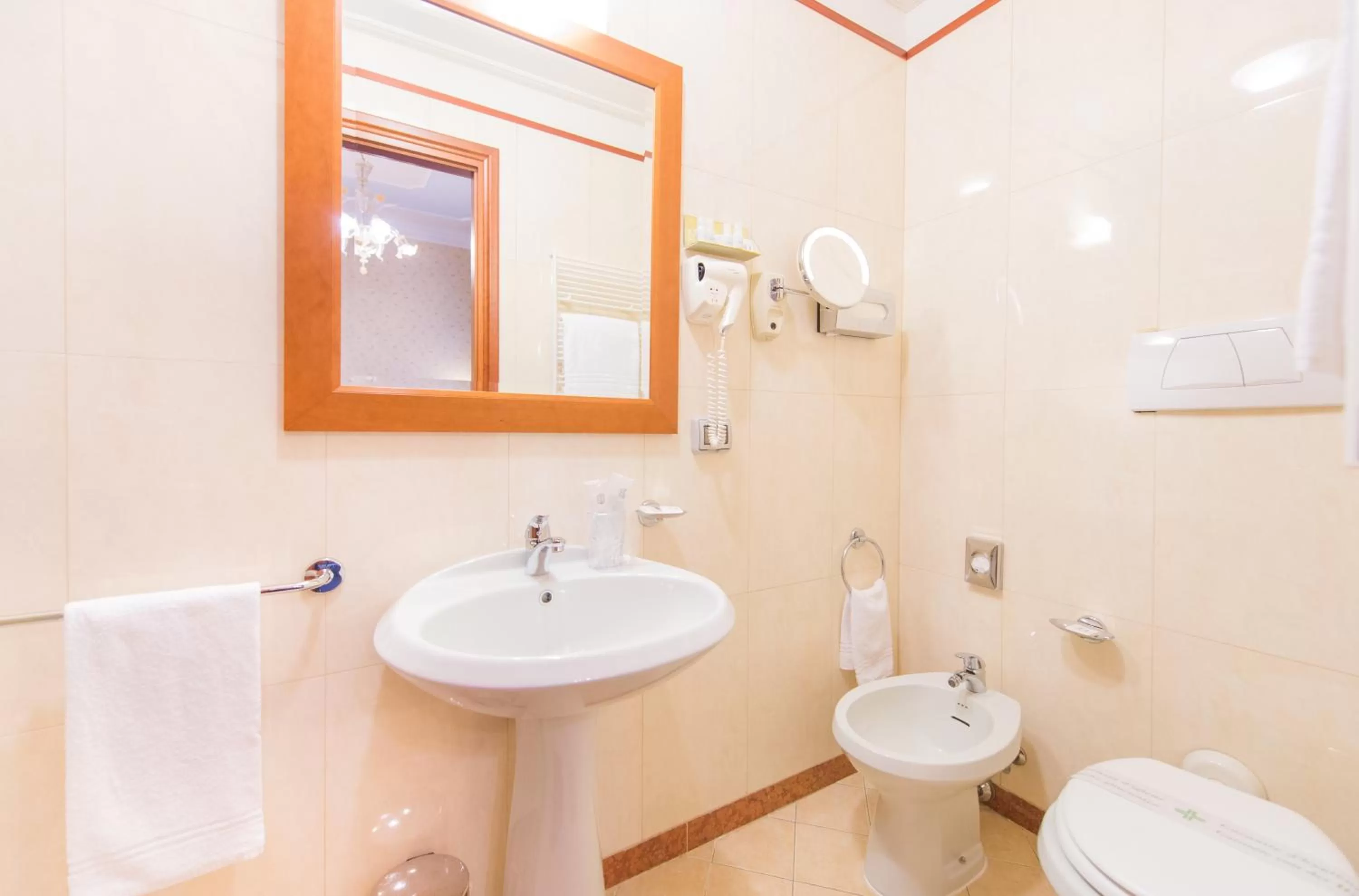 Economy Double Room in Diana Park Hotel