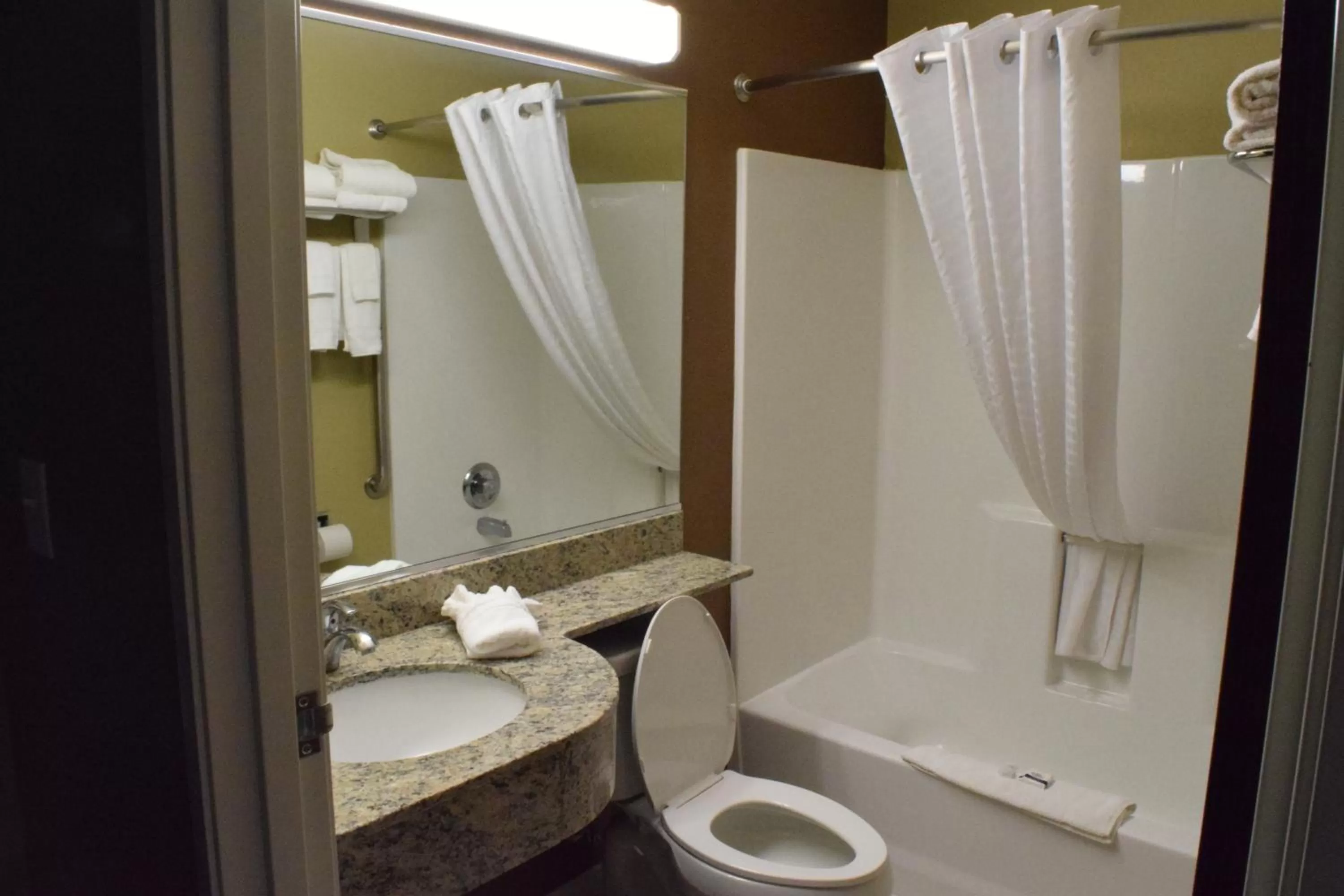 Studio Queen Suite - Non-Smoking in Microtel Inn and Suites Pecos