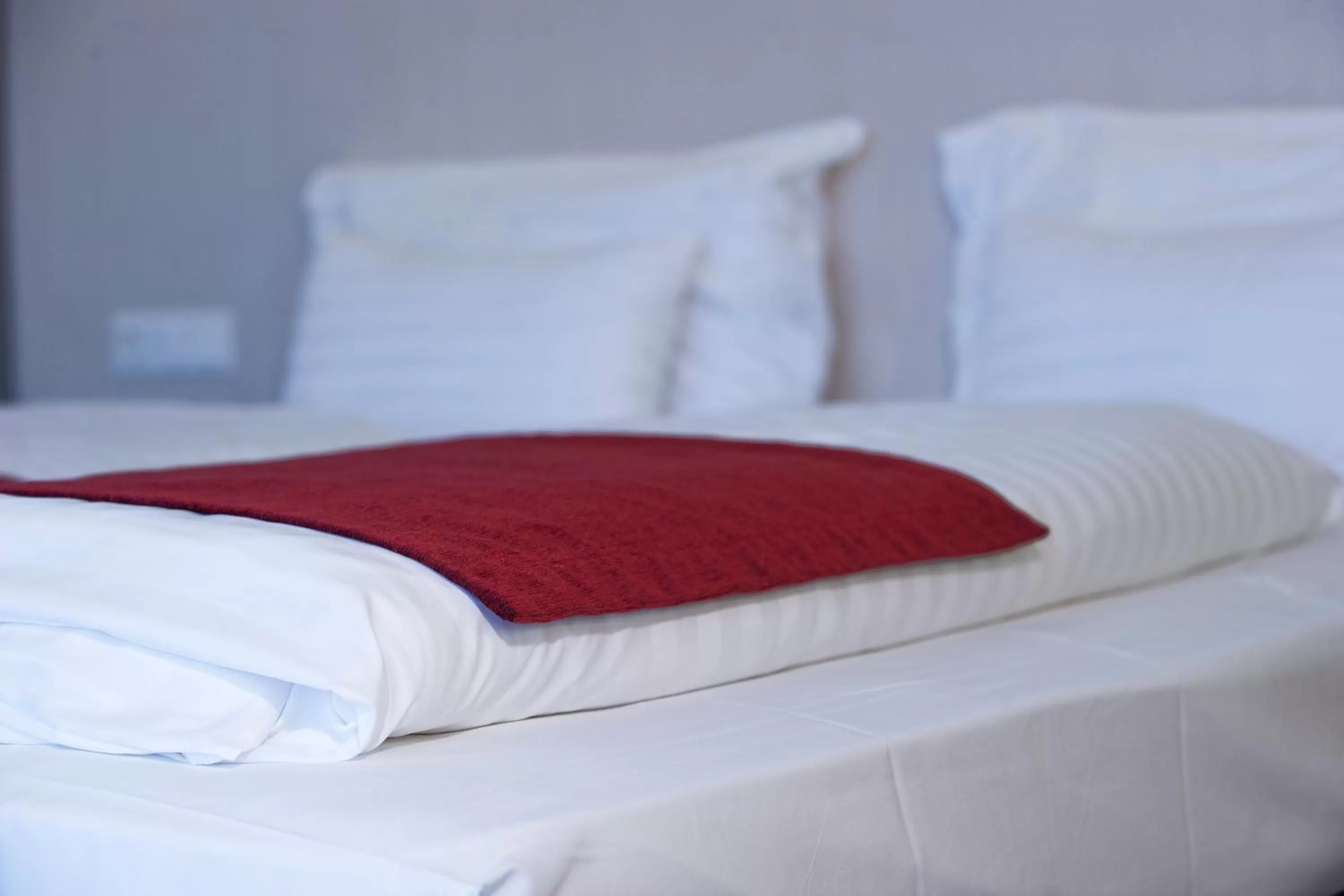 Double or Twin Room - single occupancy in Pannonia Tower