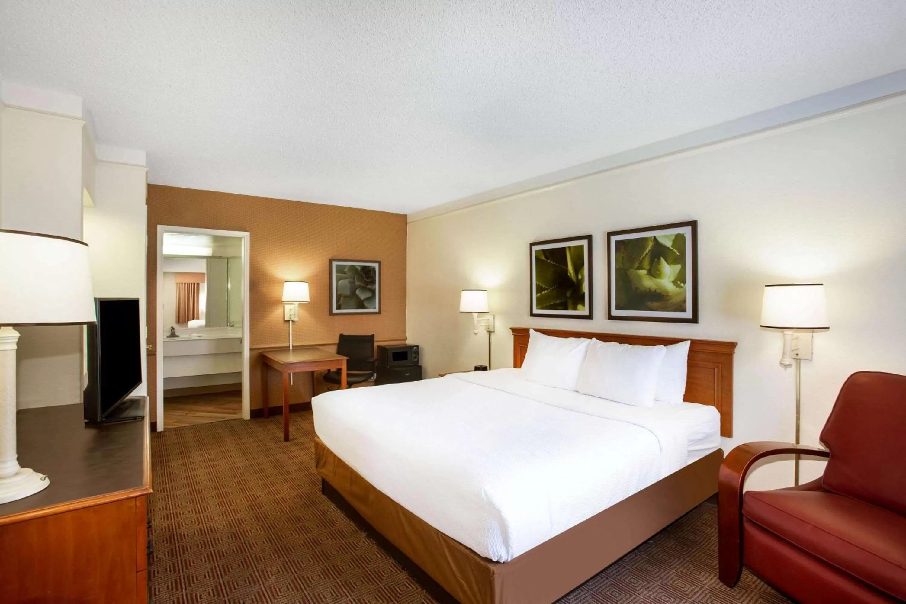 Deluxe King Room in La Quinta Inn by Wyndham Austin Capitol / Downtown