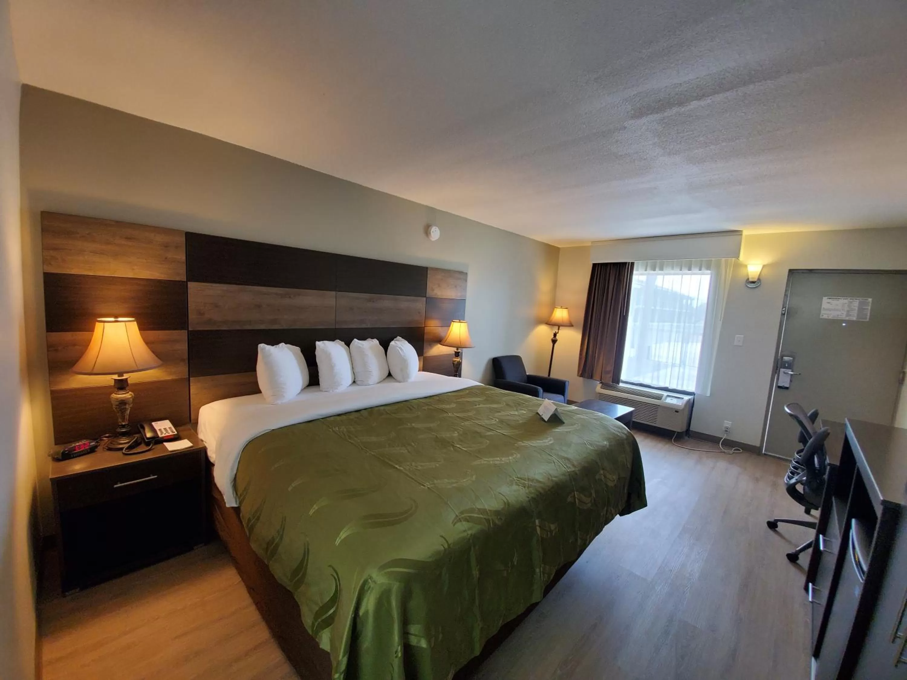 Standard King Room - Non-Smoking  in Quality Inn & Conference Center Panama City