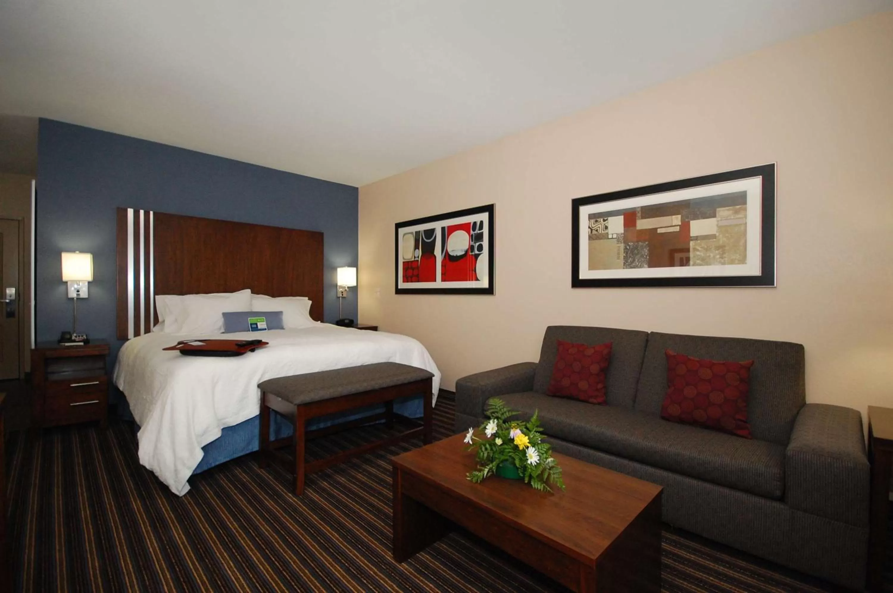 Non-Smoking King Deluxe with Sofabed in Hampton Inn Jackson/Flowood - Airport Area MS