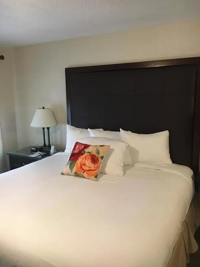 King Room in The Waldport Inn