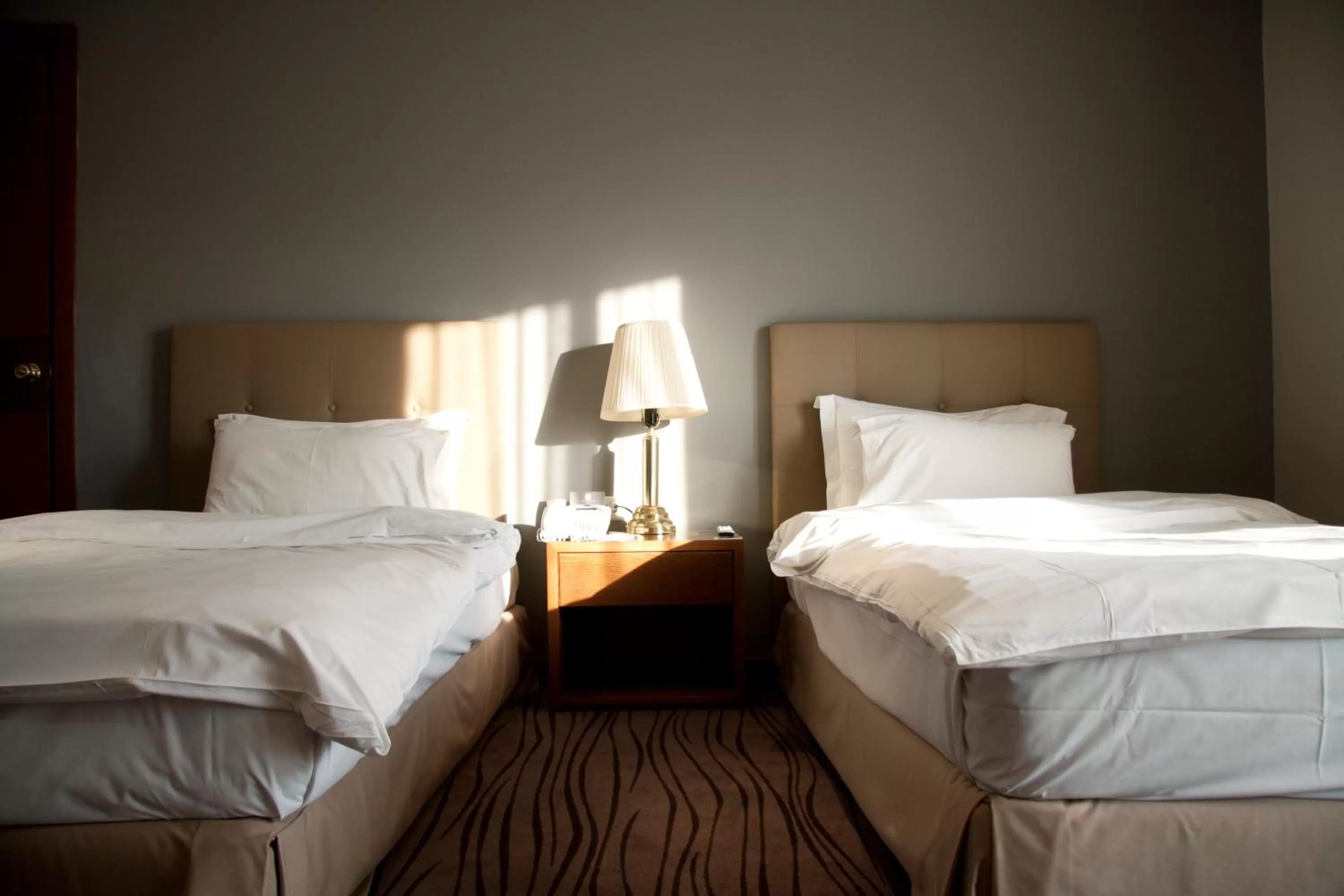 Standard Twin Room in Plaza Hotel Beirut