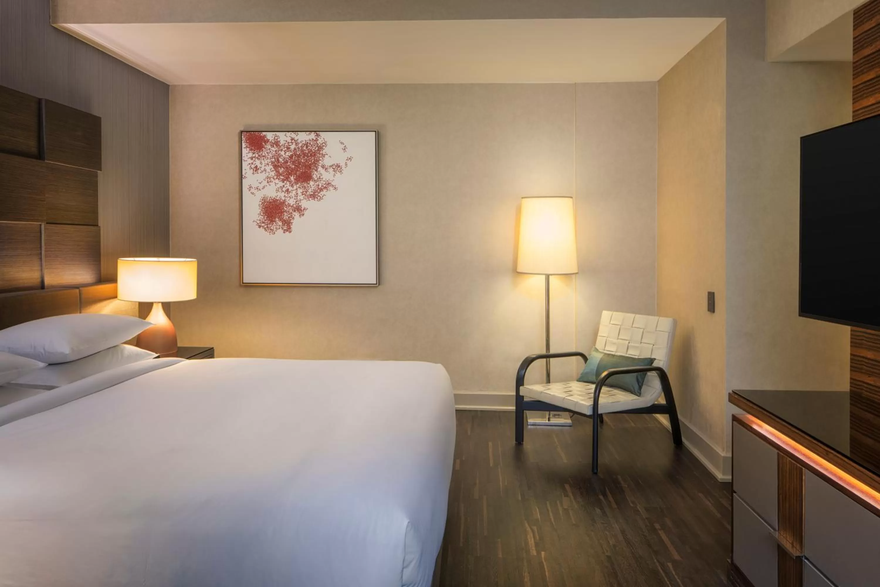 Queen Room with Tub - Disability Access in Hyatt Grand Central New York