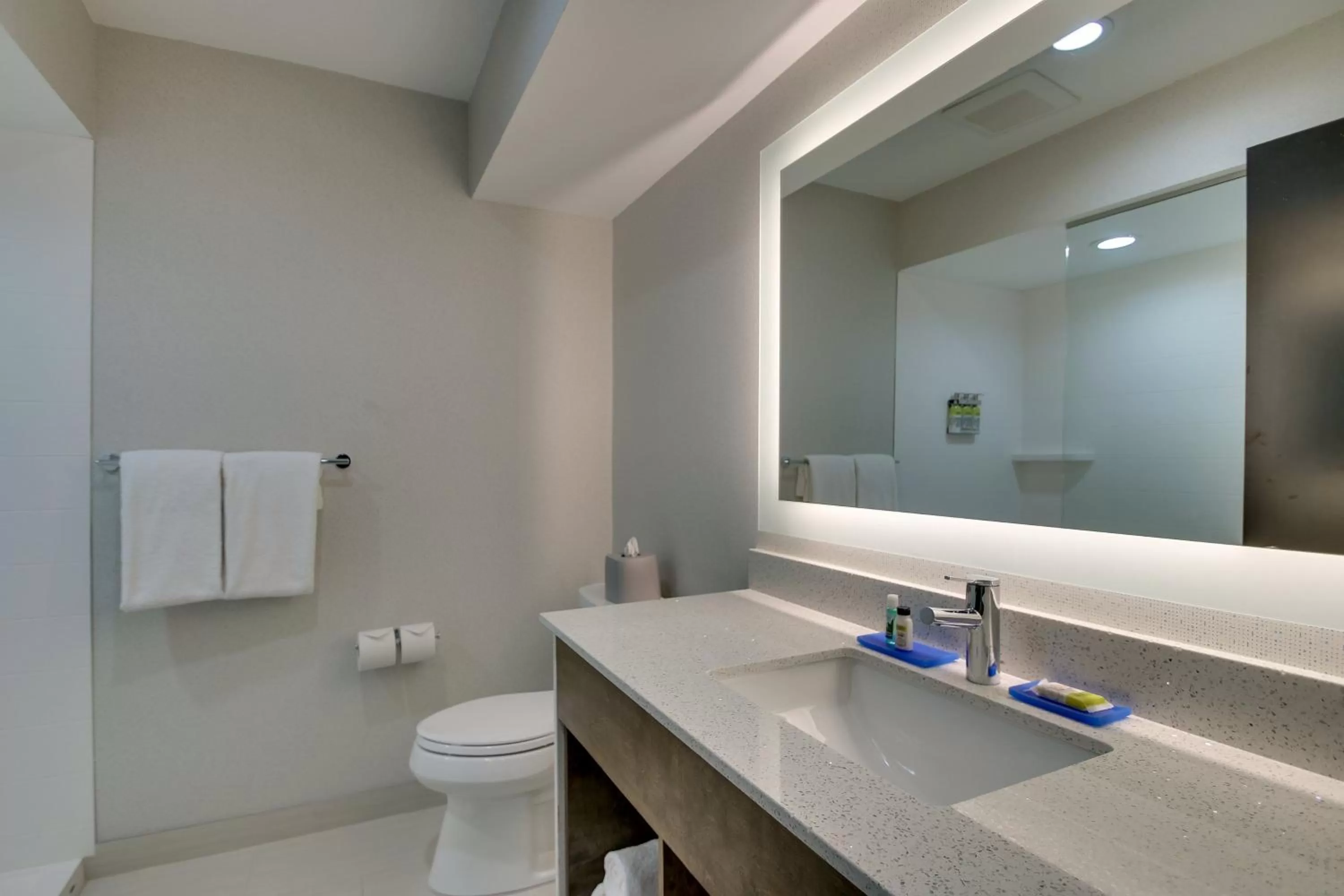 Standard King Room in Holiday Inn Express Fishkill-Mid Hudson Valley by IHG