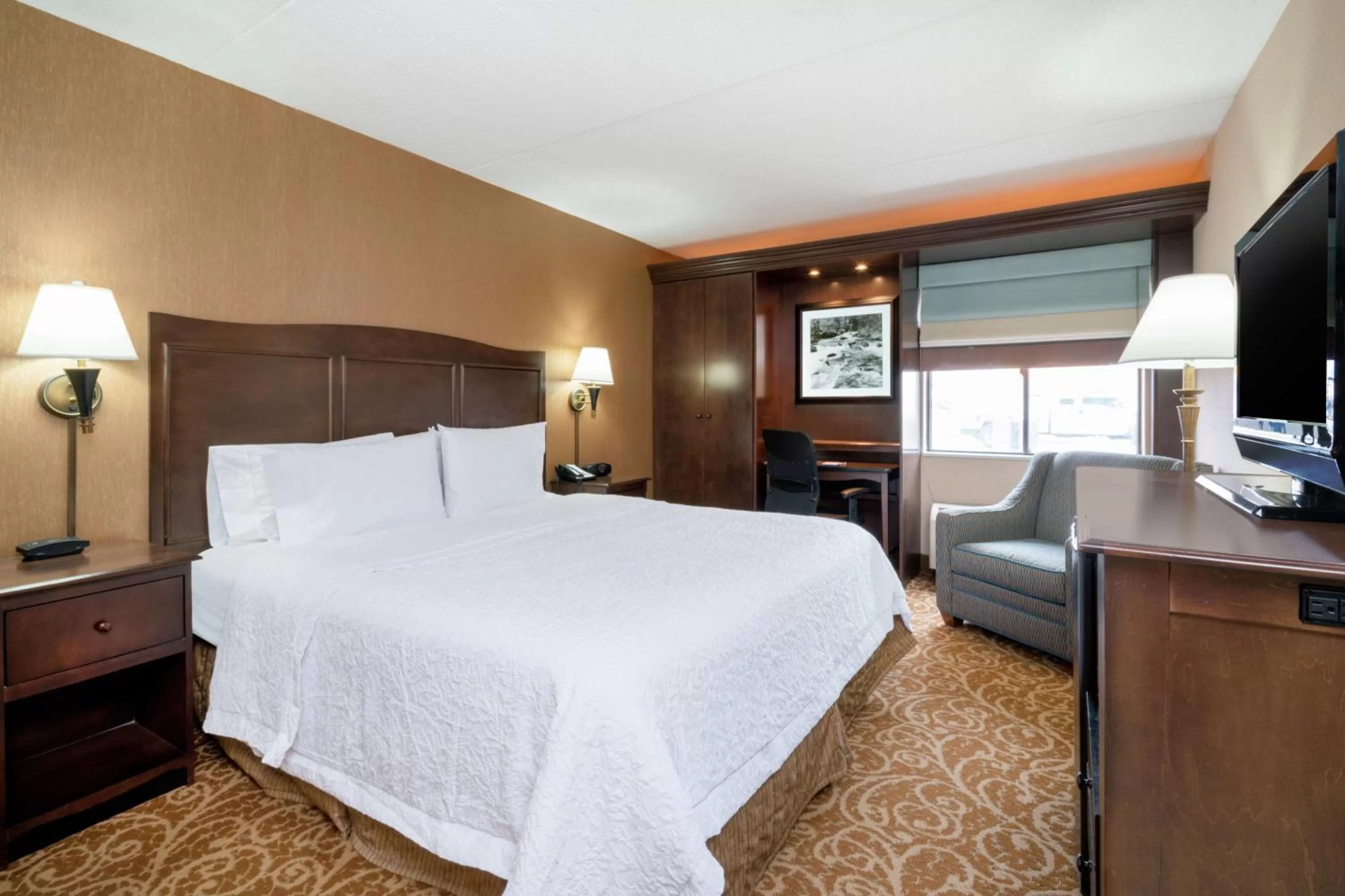 King Room with Roll-In Shower - Mobility and Hearing Access/Non-Smoking in Hampton Inn Downingtown/Exton