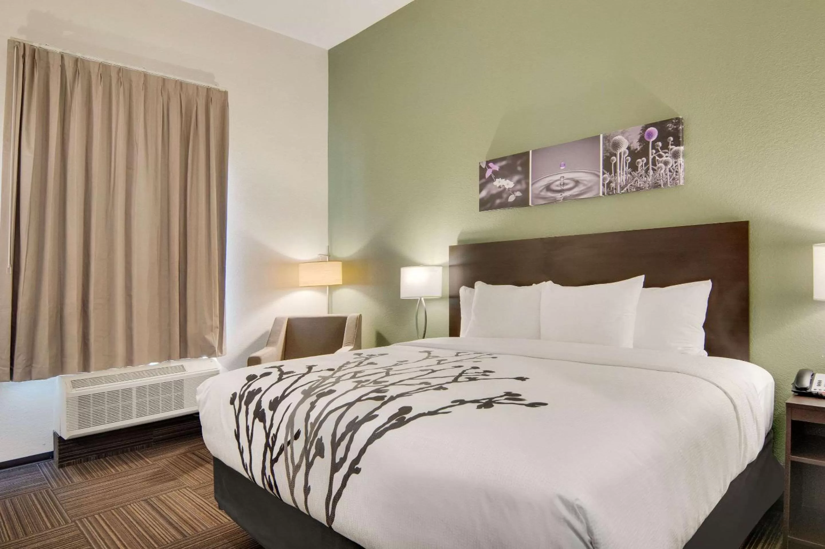 King Room - Disability Access/Non Smoking  in Sleep Inn Dallas Northwest - Irving