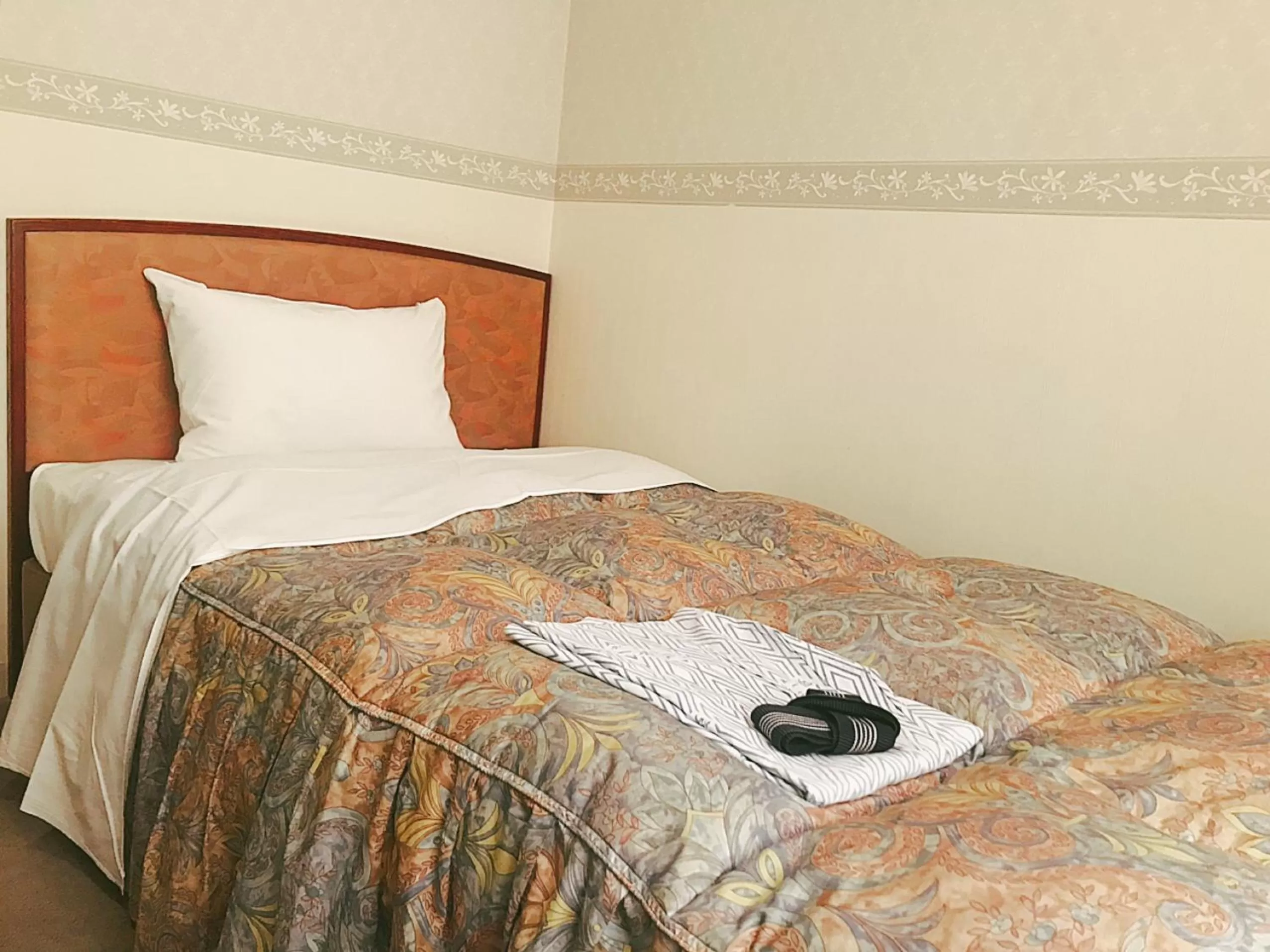 Single Room - Smoking in Kagoshima Daiichi Hotel Kishaba