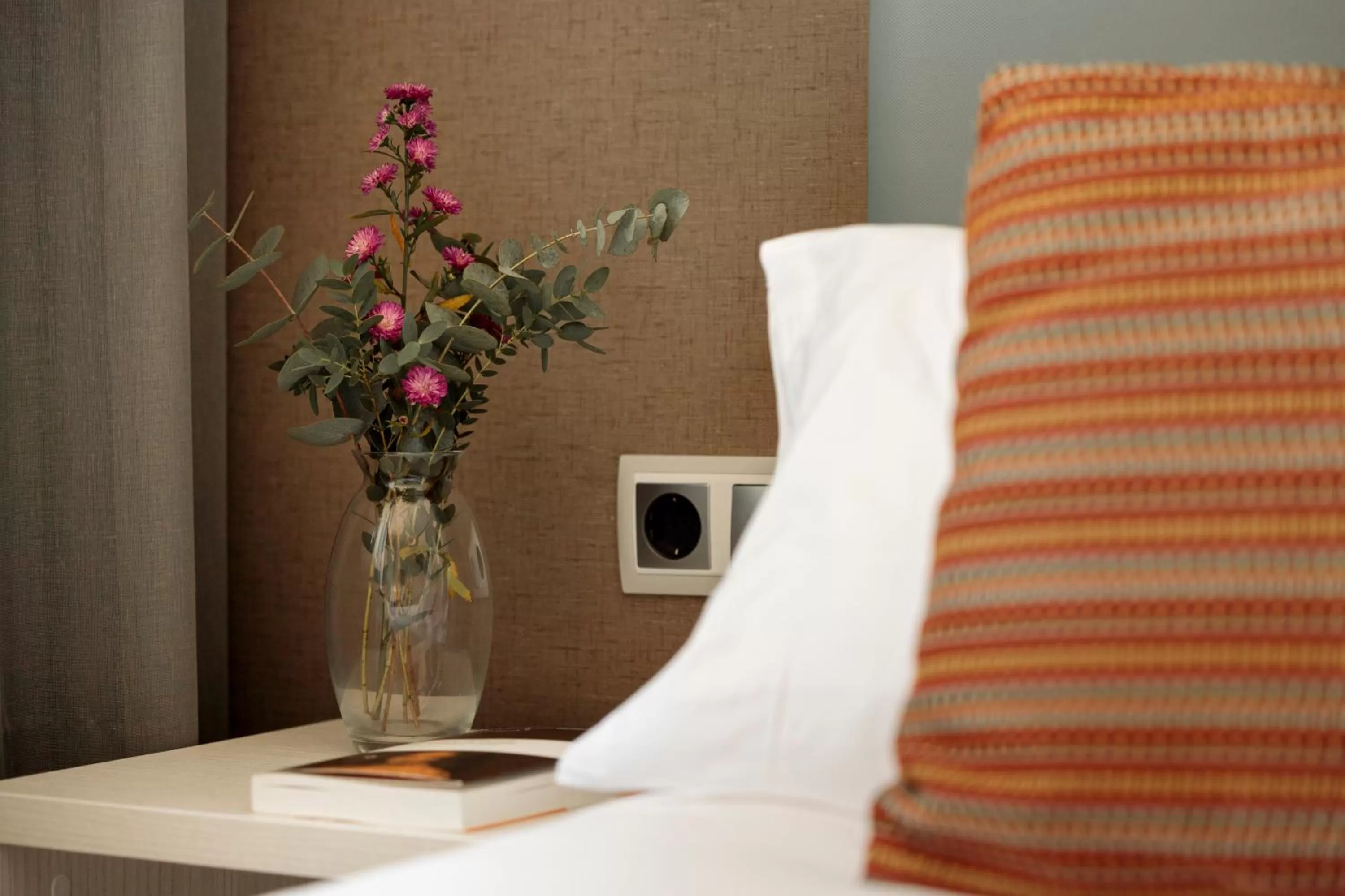 Double or Twin Room - single occupancy in Hotel Pax Guadalajara