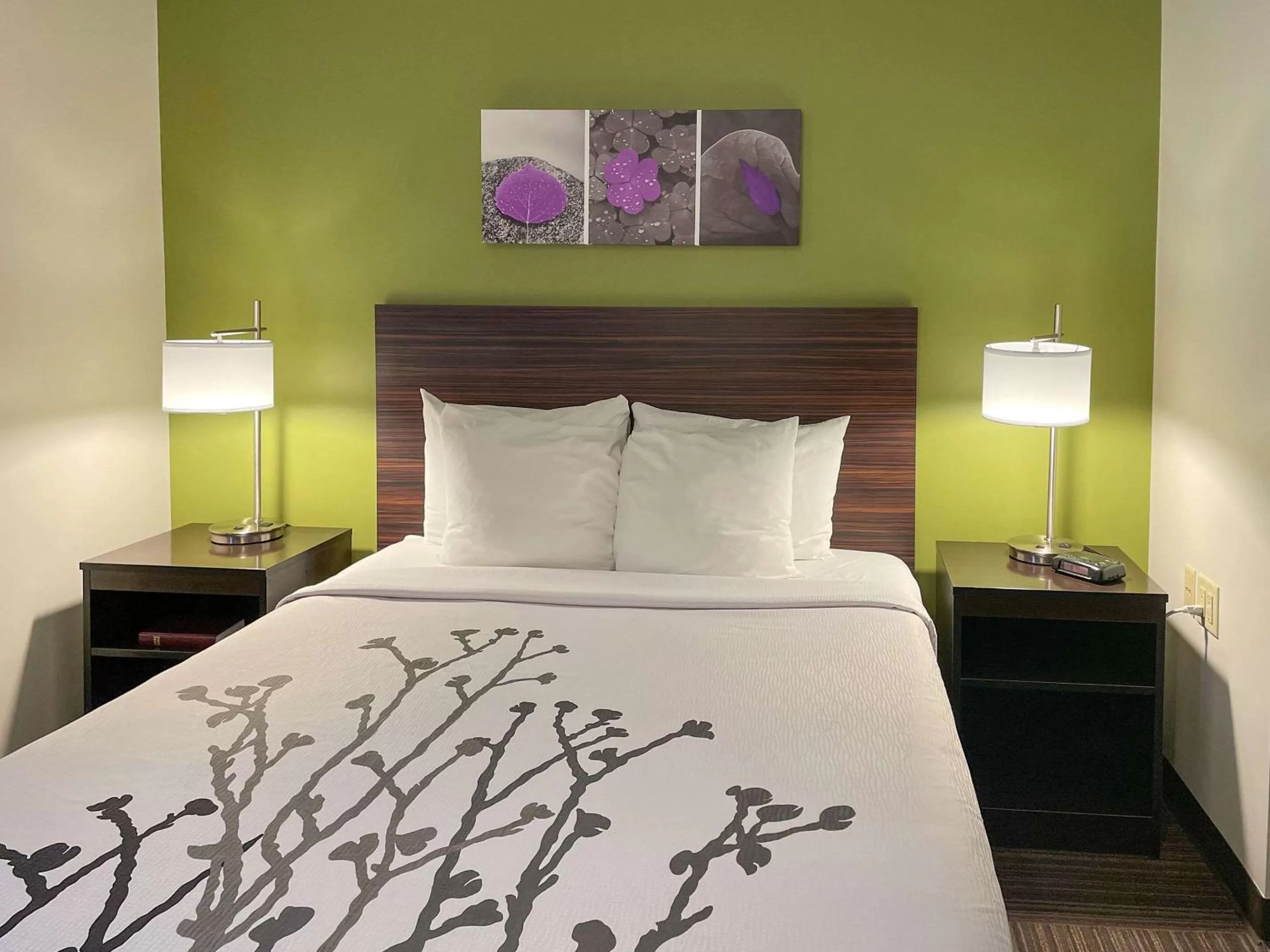 Queen Room - Non-Smoking in Sleep Inn