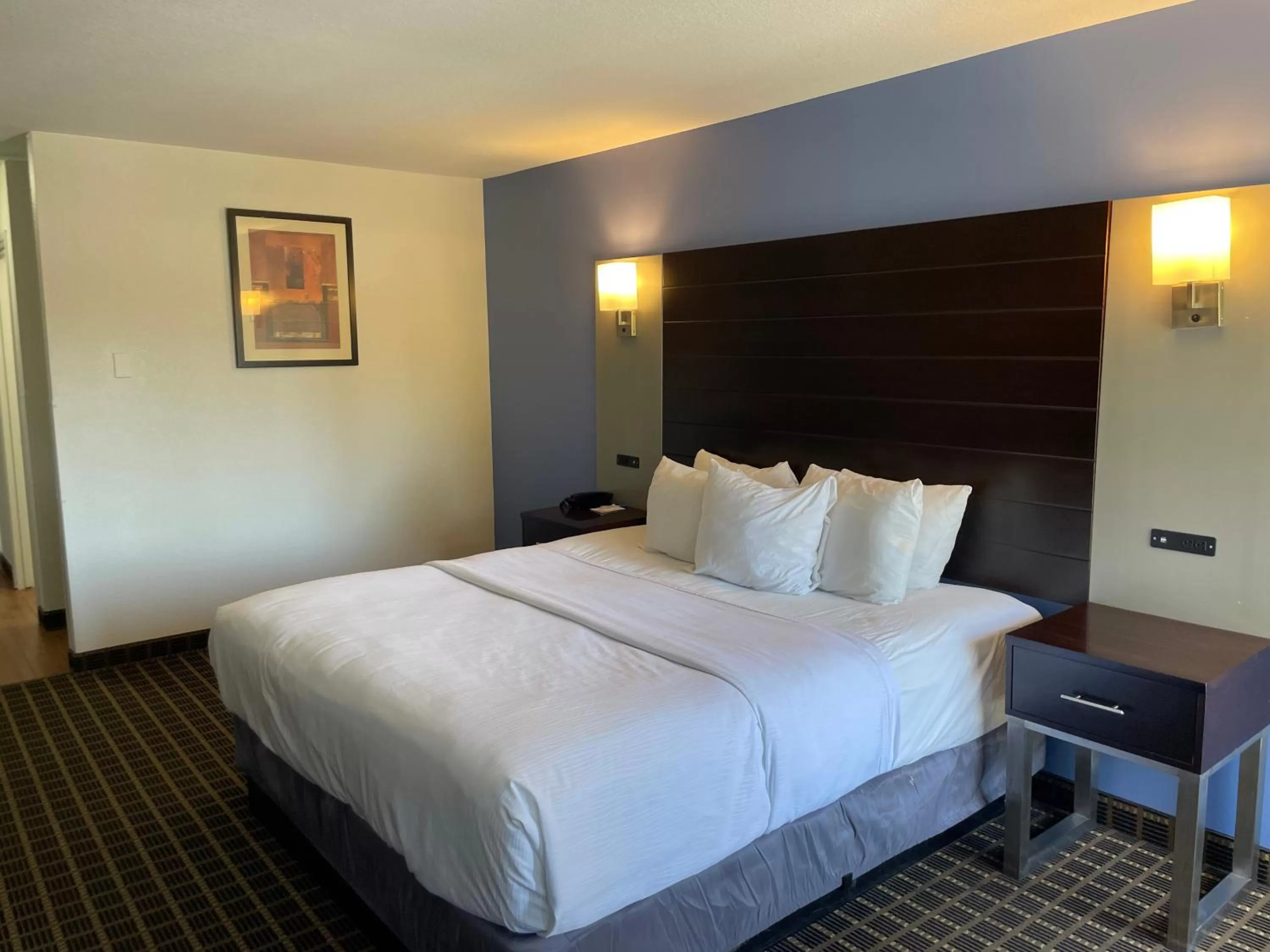 King Room - single occupancy - Non-Smoking in Hotel Solares