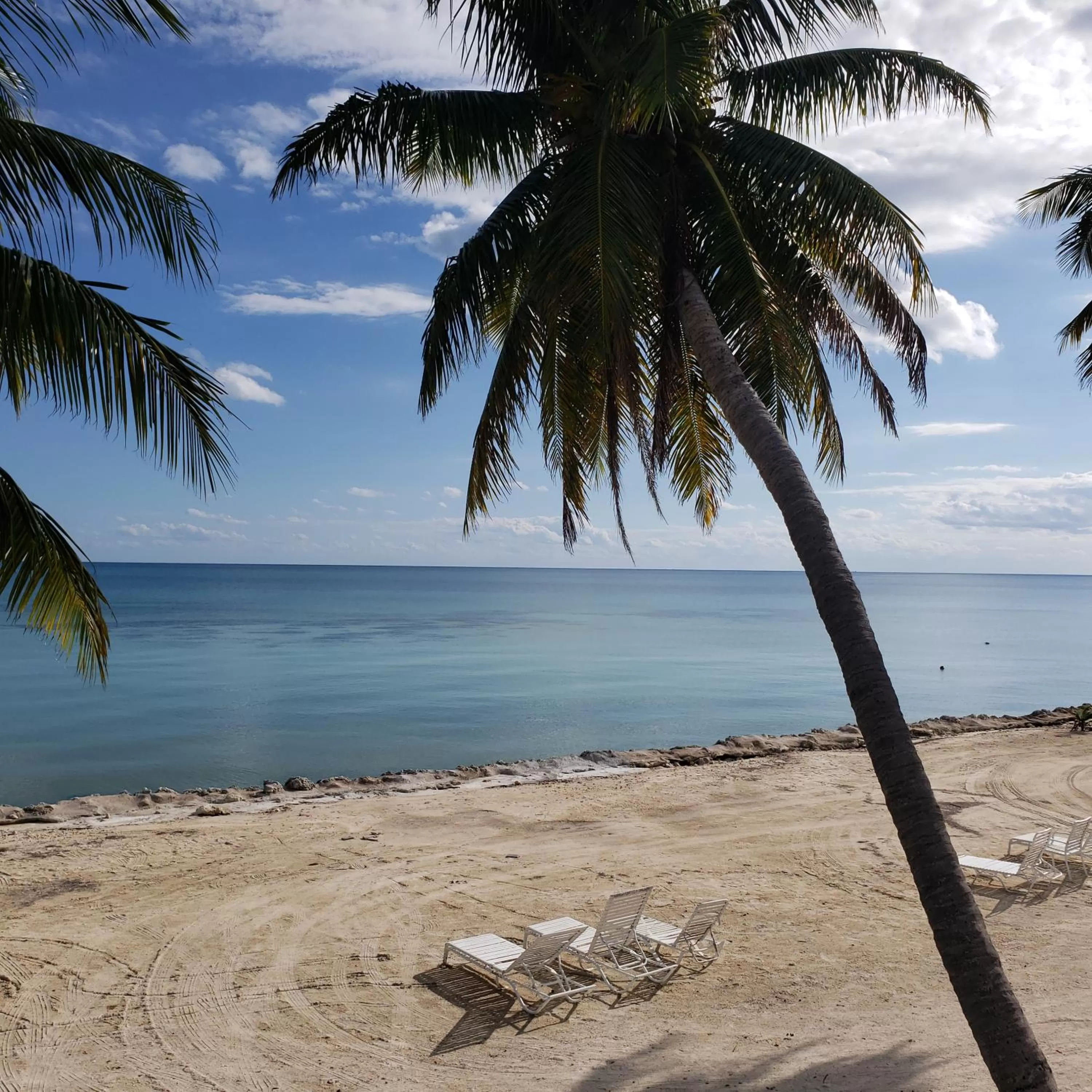 Standard King Room in Rainbow Bend Resort