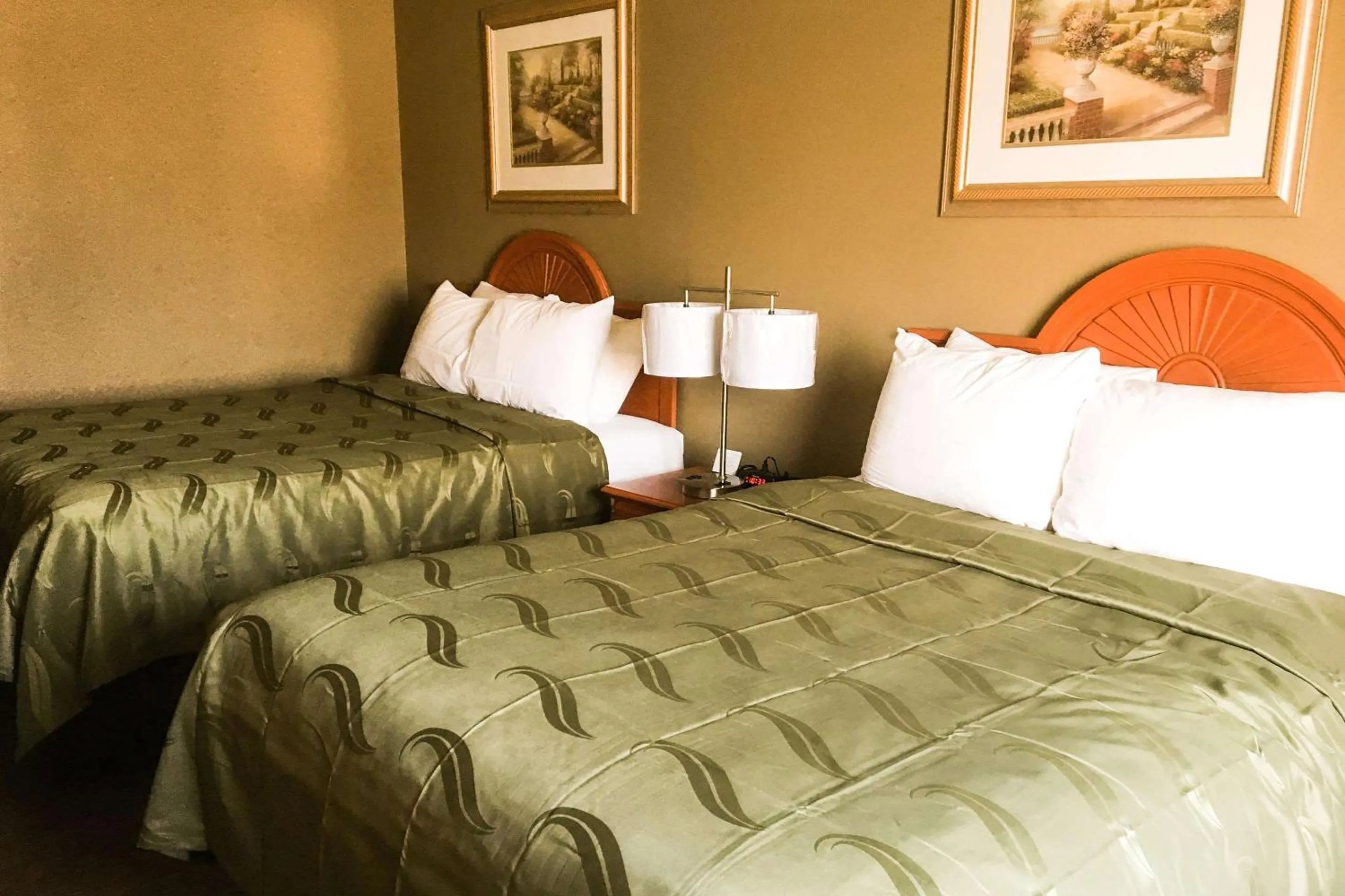 Queen Room with Two Queen Beds - Non-Smoking in Quality Inn & Suites Lincoln near I-55
