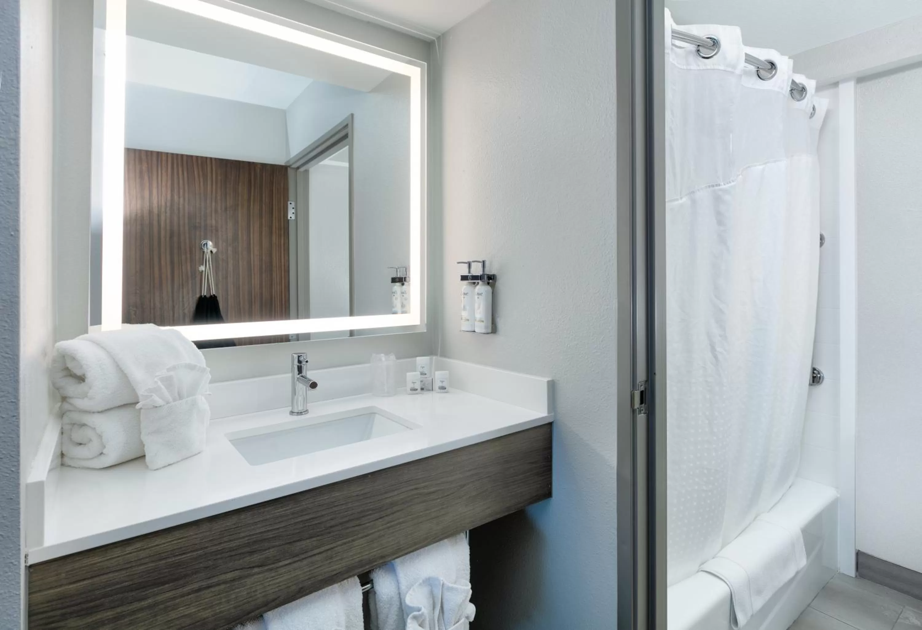 King Suite - Disability Access in Holiday Inn Express & Suites DALLAS PARK CENTRAL NORTHEAST by IHG