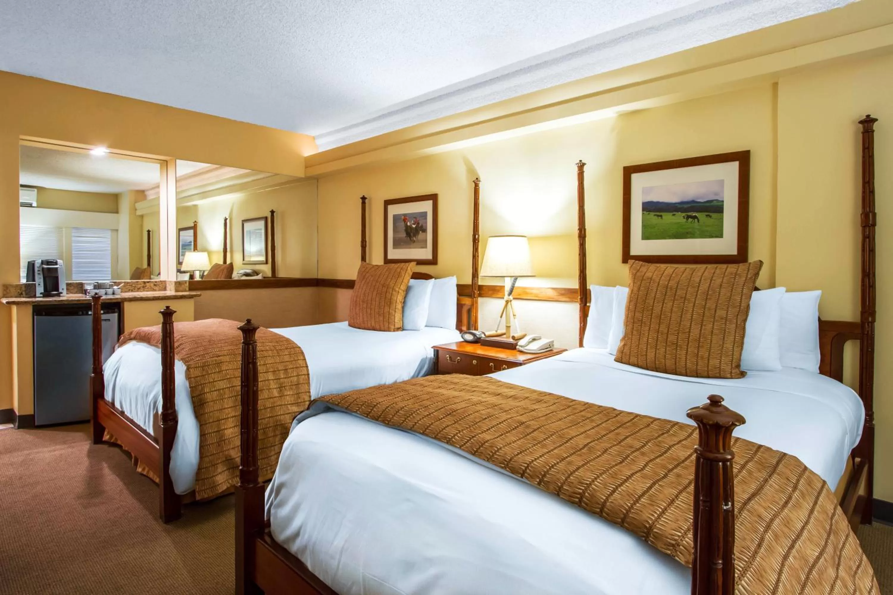 Classic 2 Doubles in The Equus