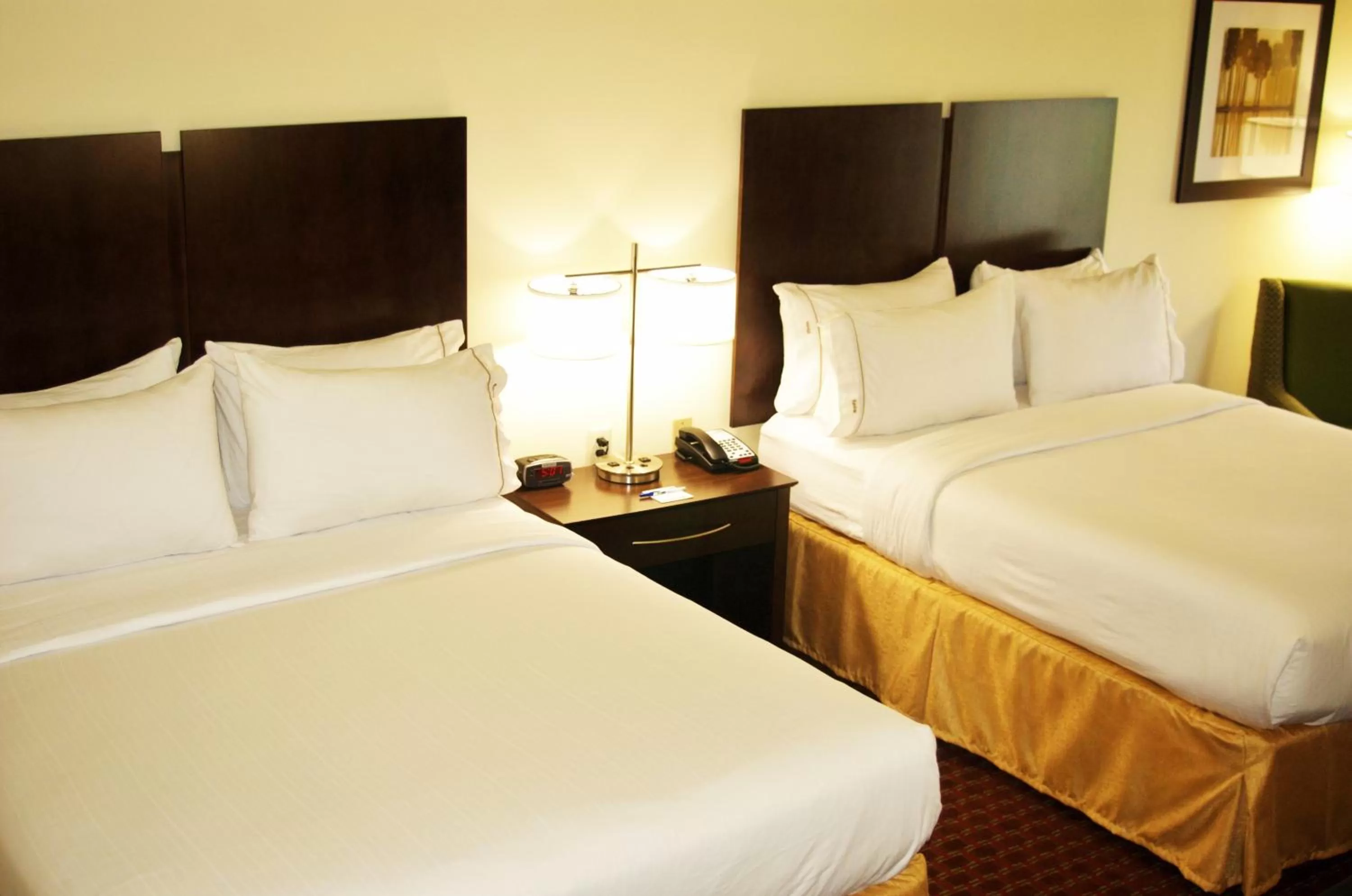 Queen Room with Two Queen Beds - Hearing Accessible/Non-Smoking in Holiday Inn Express DeFuniak Springs by IHG