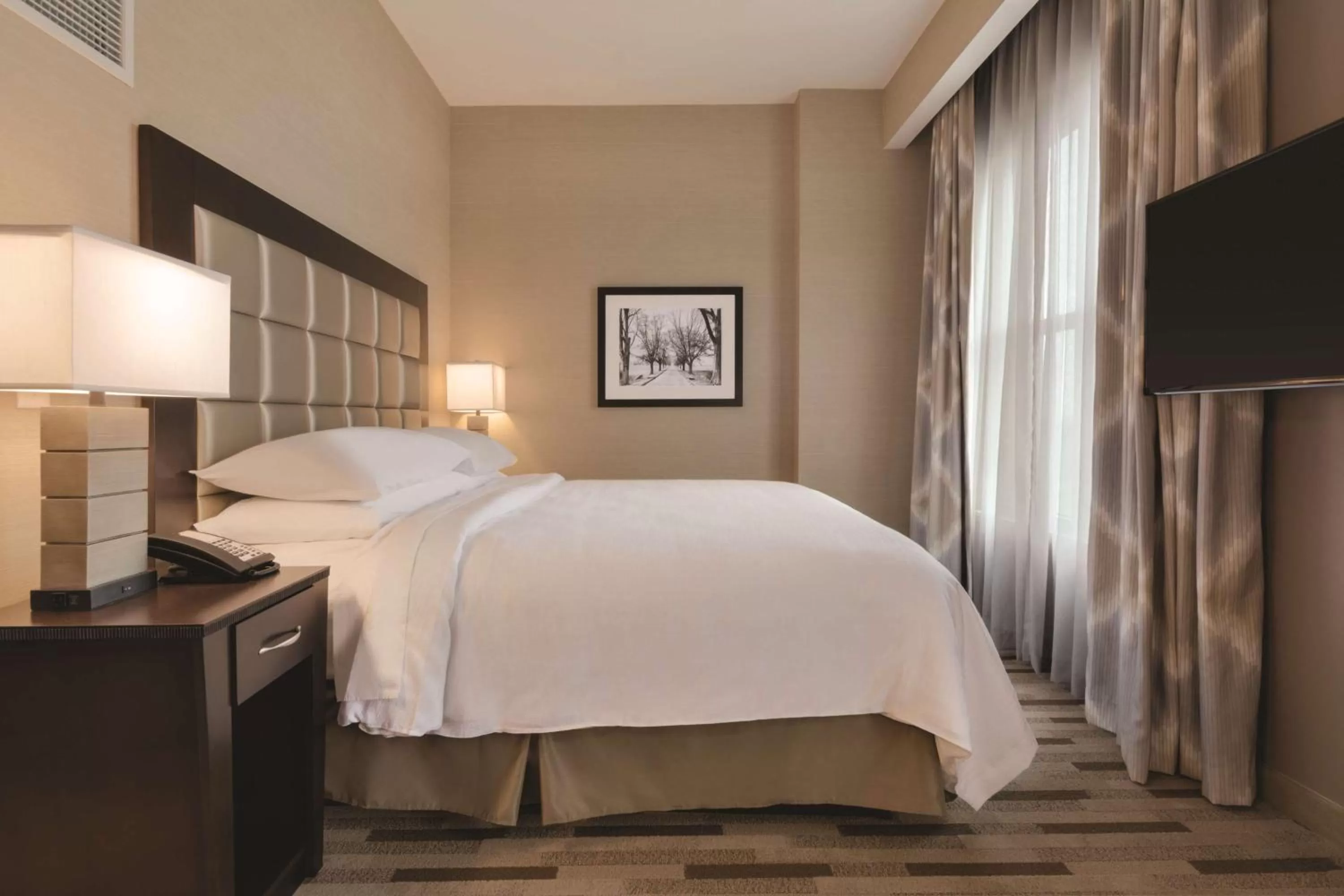 King Studio Suite in Embassy Suites by Hilton Tuscaloosa Alabama Downtown