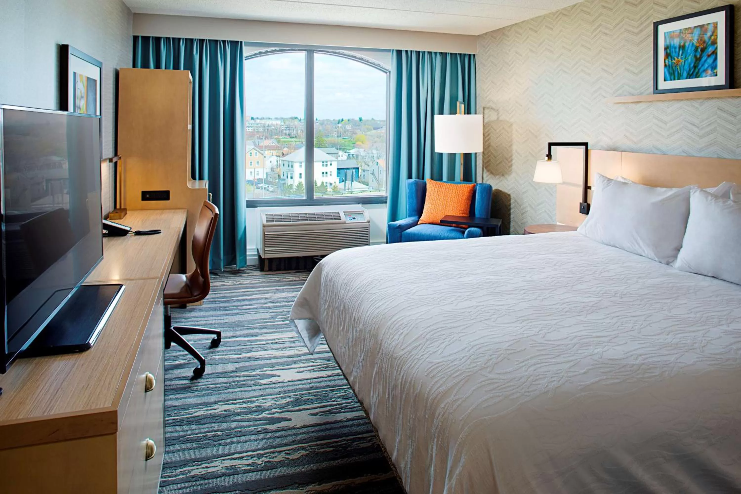 Premium King Room in Hilton Garden Inn Providence