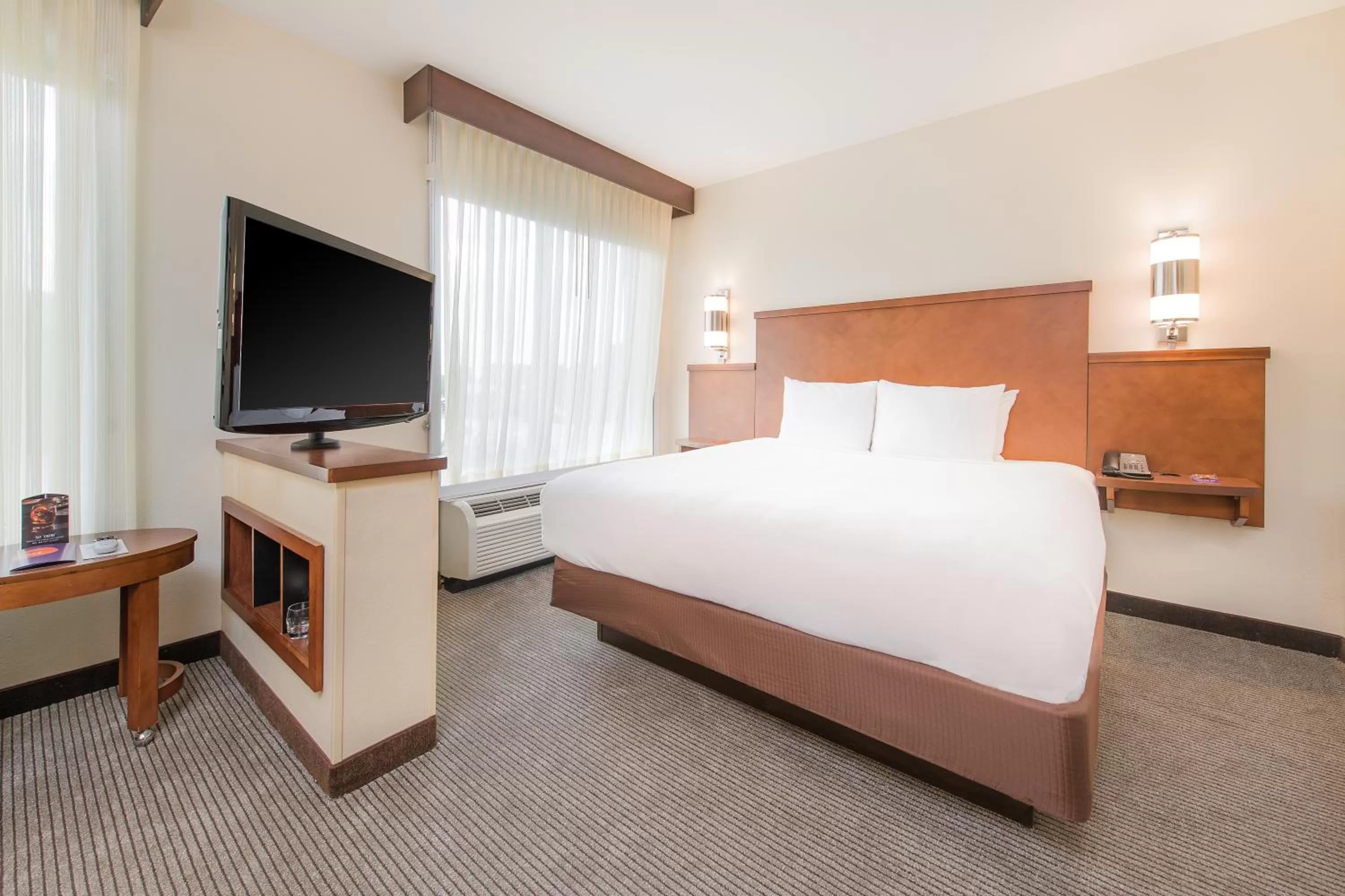 King Room with Sofa Bed in Hyatt Place Charleston Airport / Convention Center