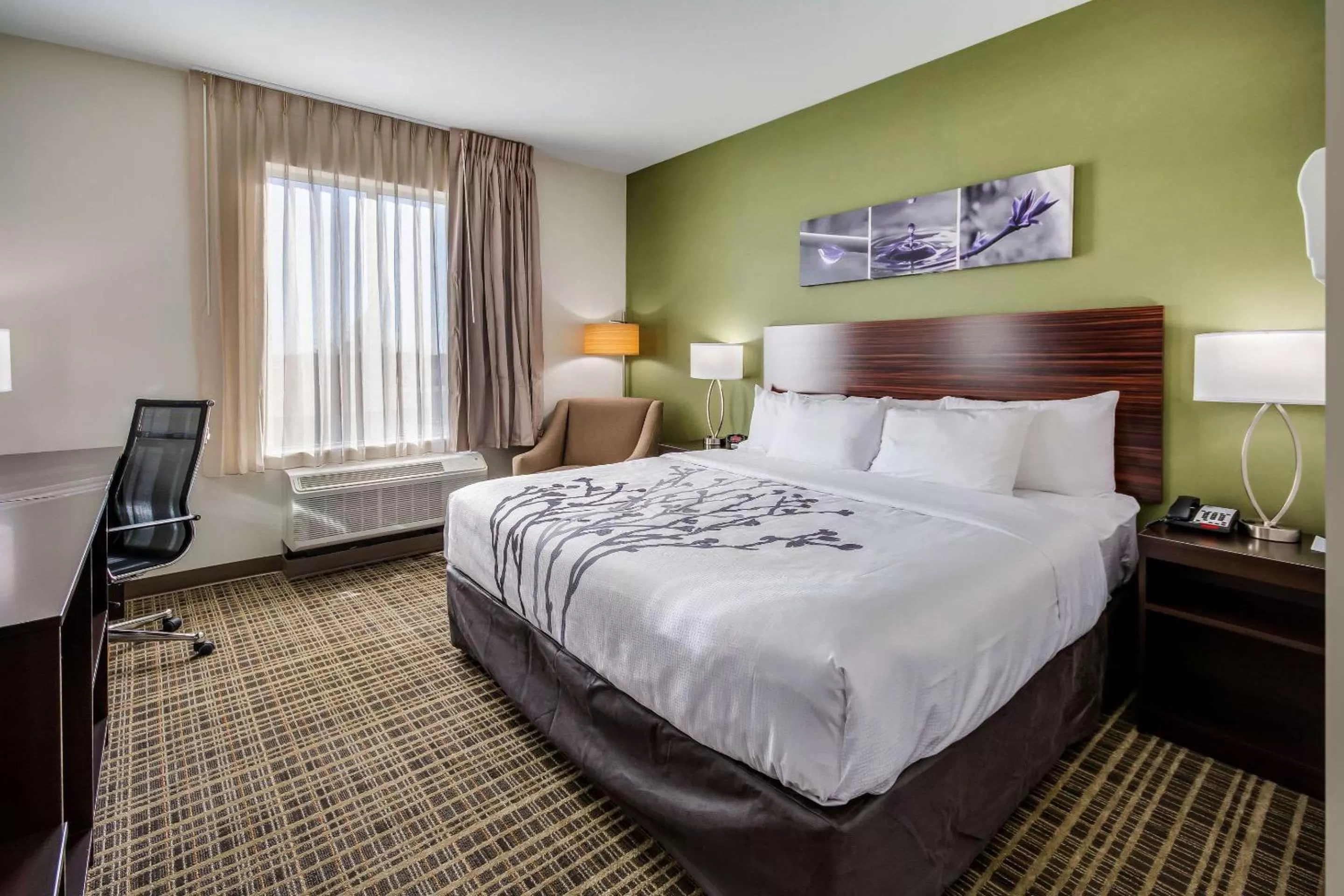 King Room - Non-Smoking in Sleep Inn & Suites Yukon Oklahoma City