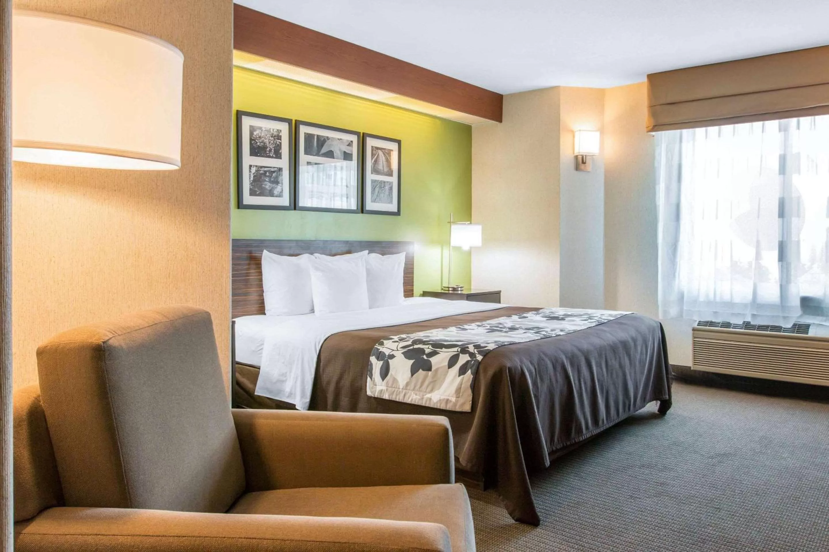 King Room - Accessible/Non-Smoking in Sleep Inn & Suites Oregon - Toledo