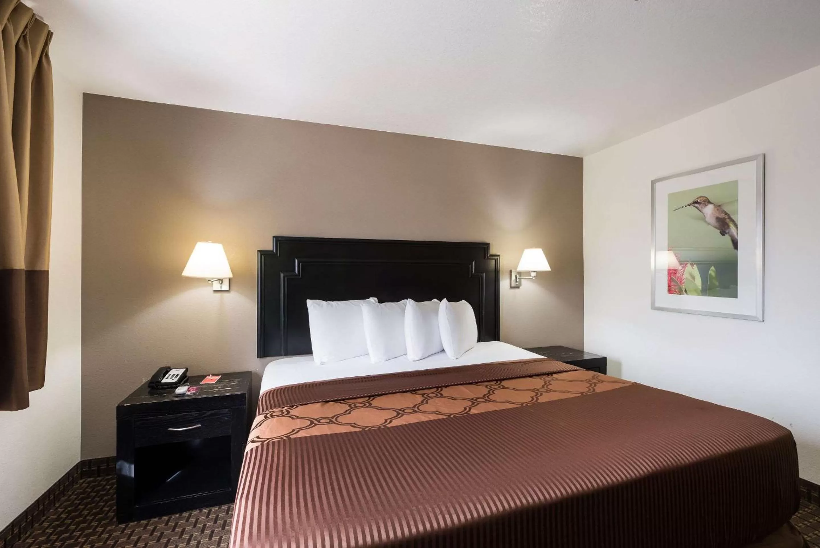 Photo of the whole room, Bed in Econo Lodge Inn & Suites Williams - Grand Canyon Area