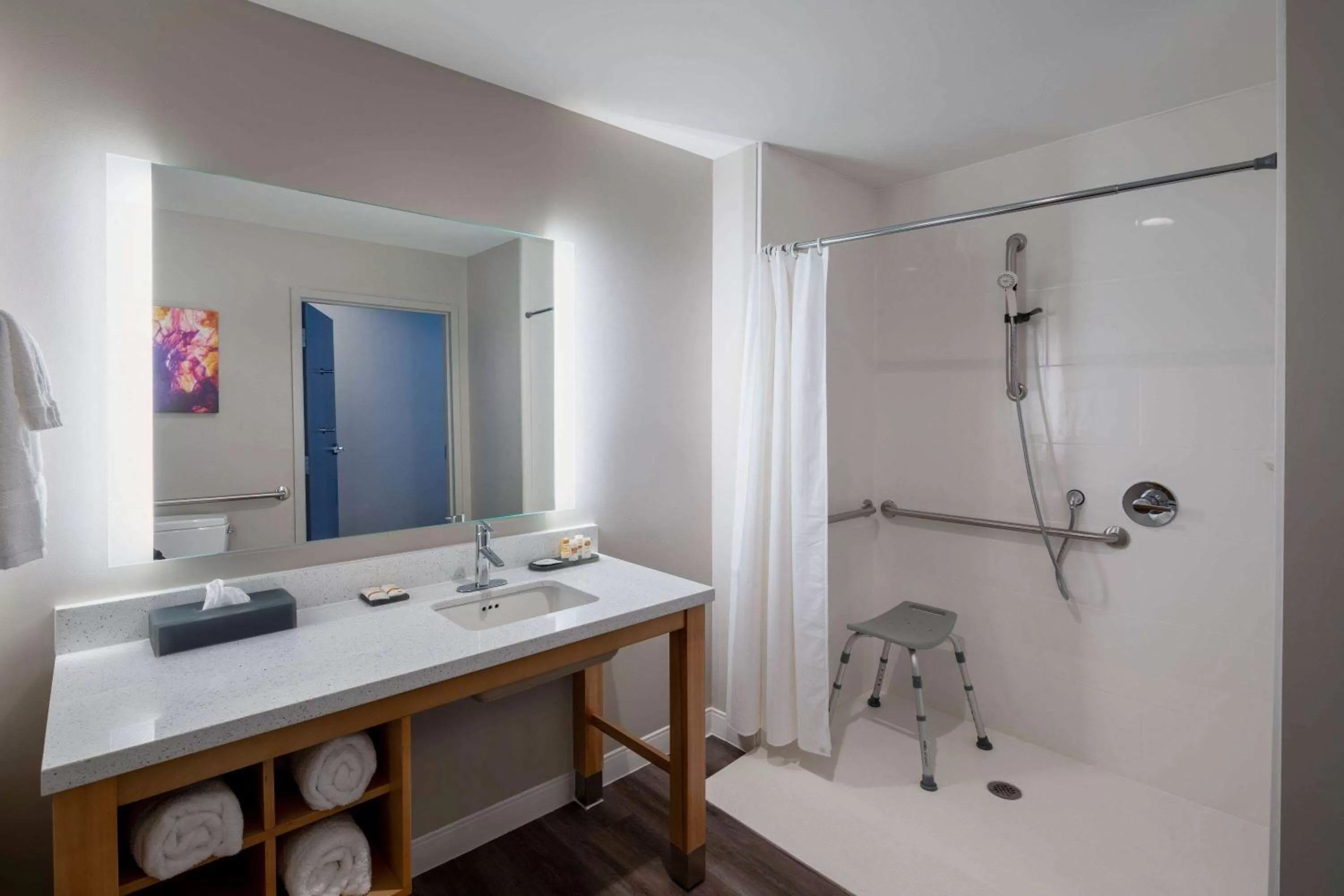 King Room with Roll-in Shower - Mobility Access/Non-Smoking in La Quinta by Wyndham Greensboro Airport High Point