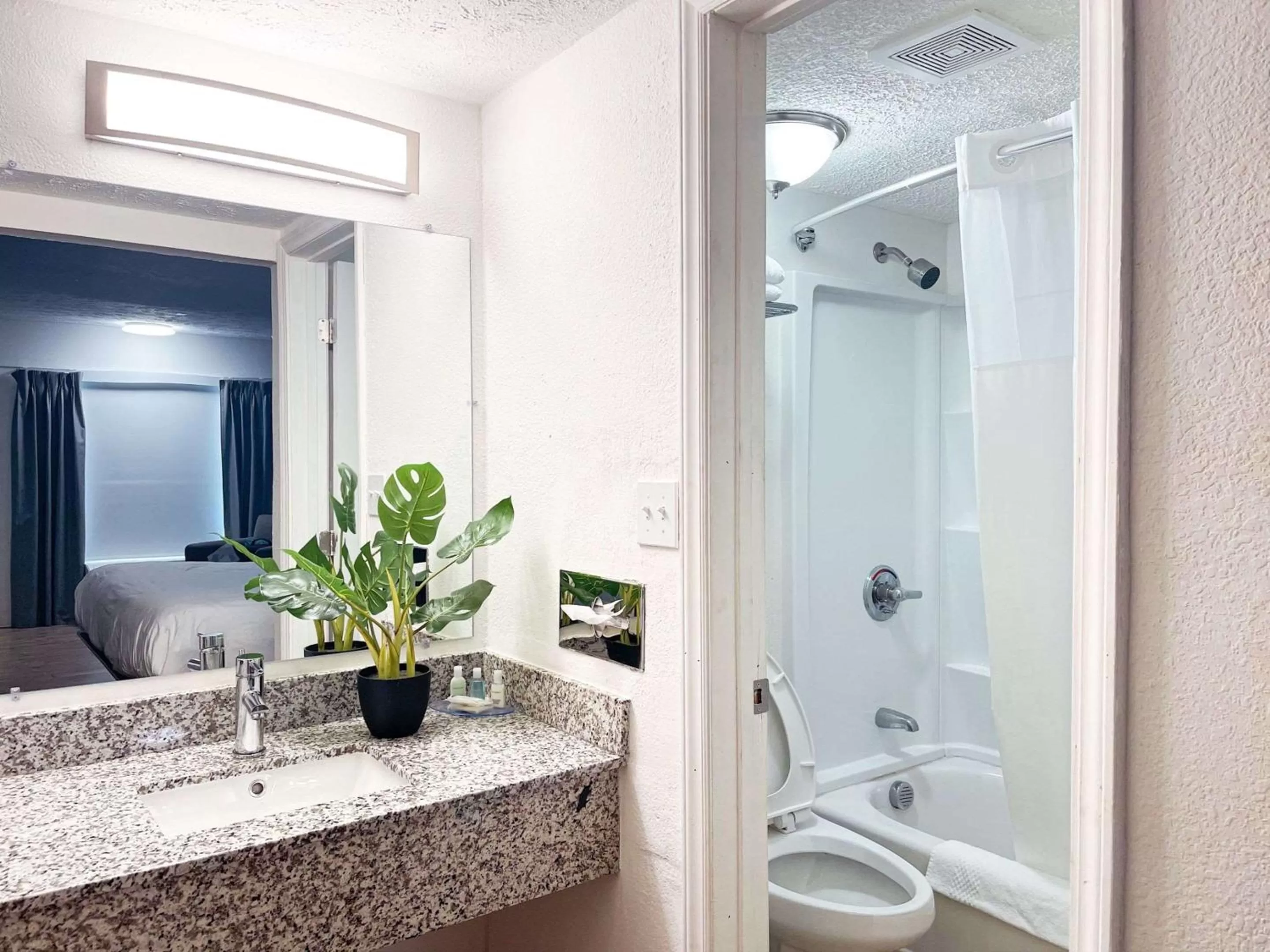 Standard King Room - Non-Smoking  in Clarion Inn