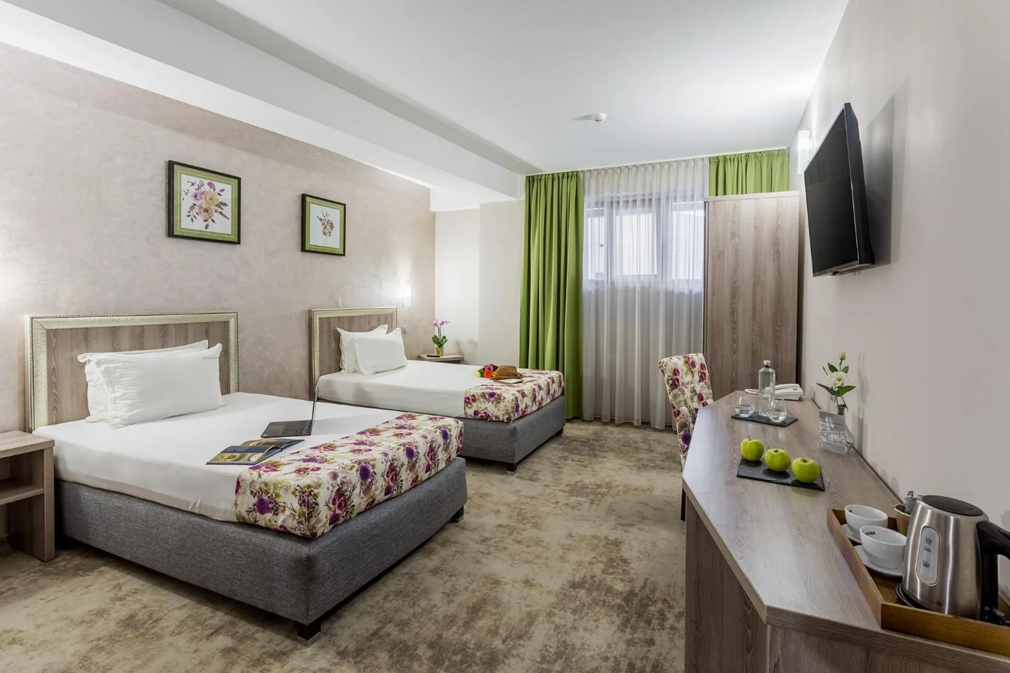 Deluxe Twin Room - single occupancy in Prestige Boutique Hotel Craiova