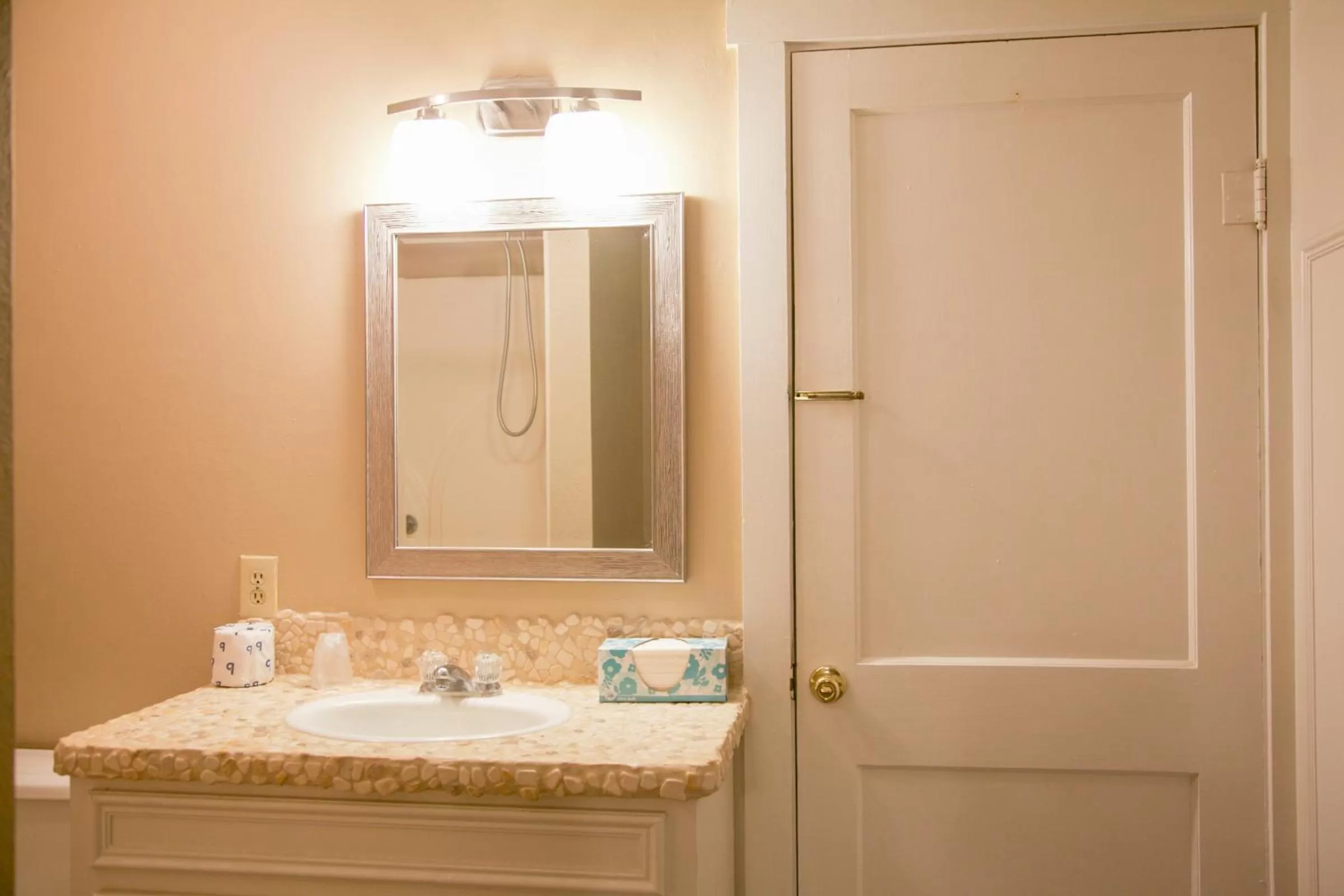 Apartment - Ground Floor in Shiner Country Inn