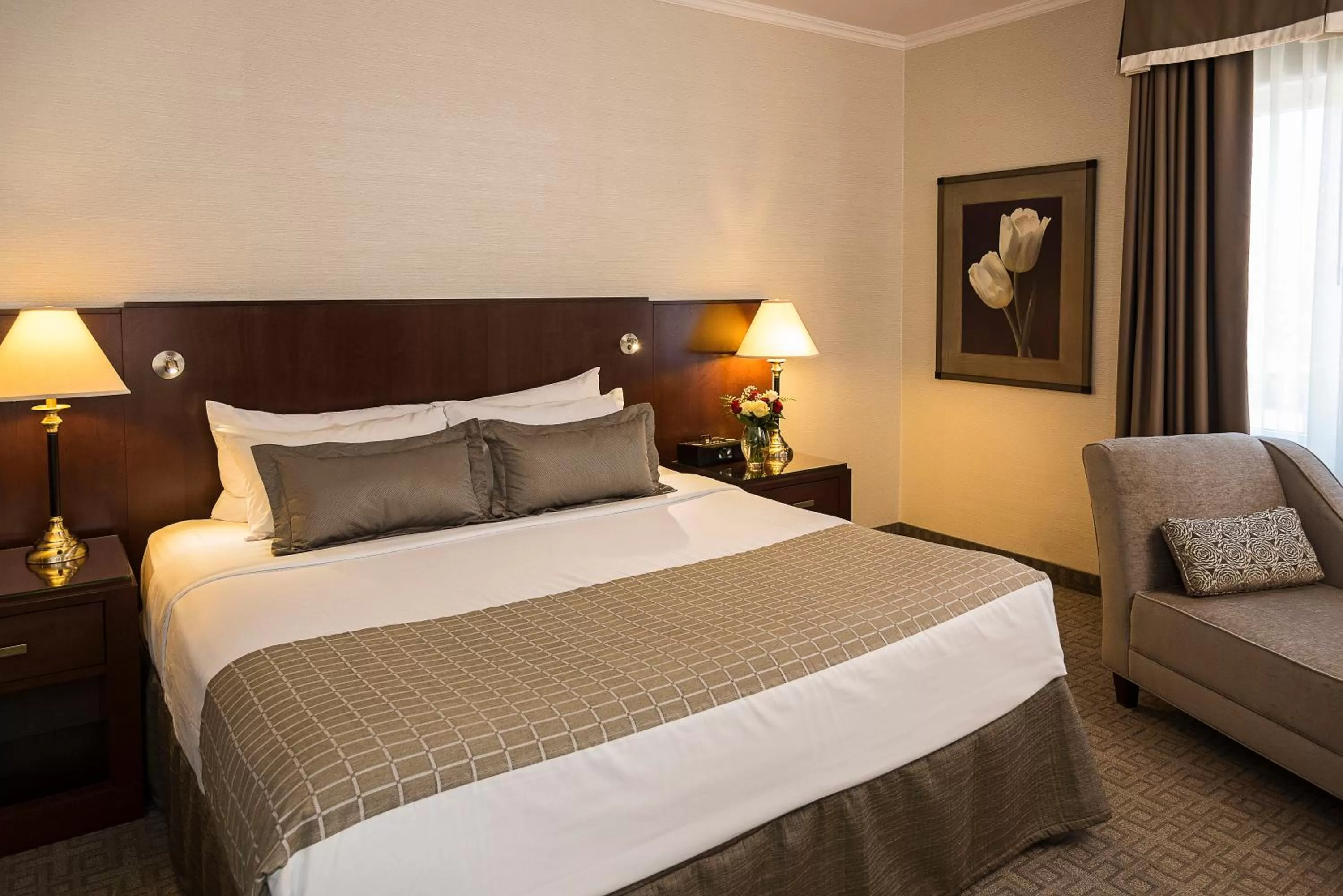 Queen Room with Park View in Lord Elgin Hotel