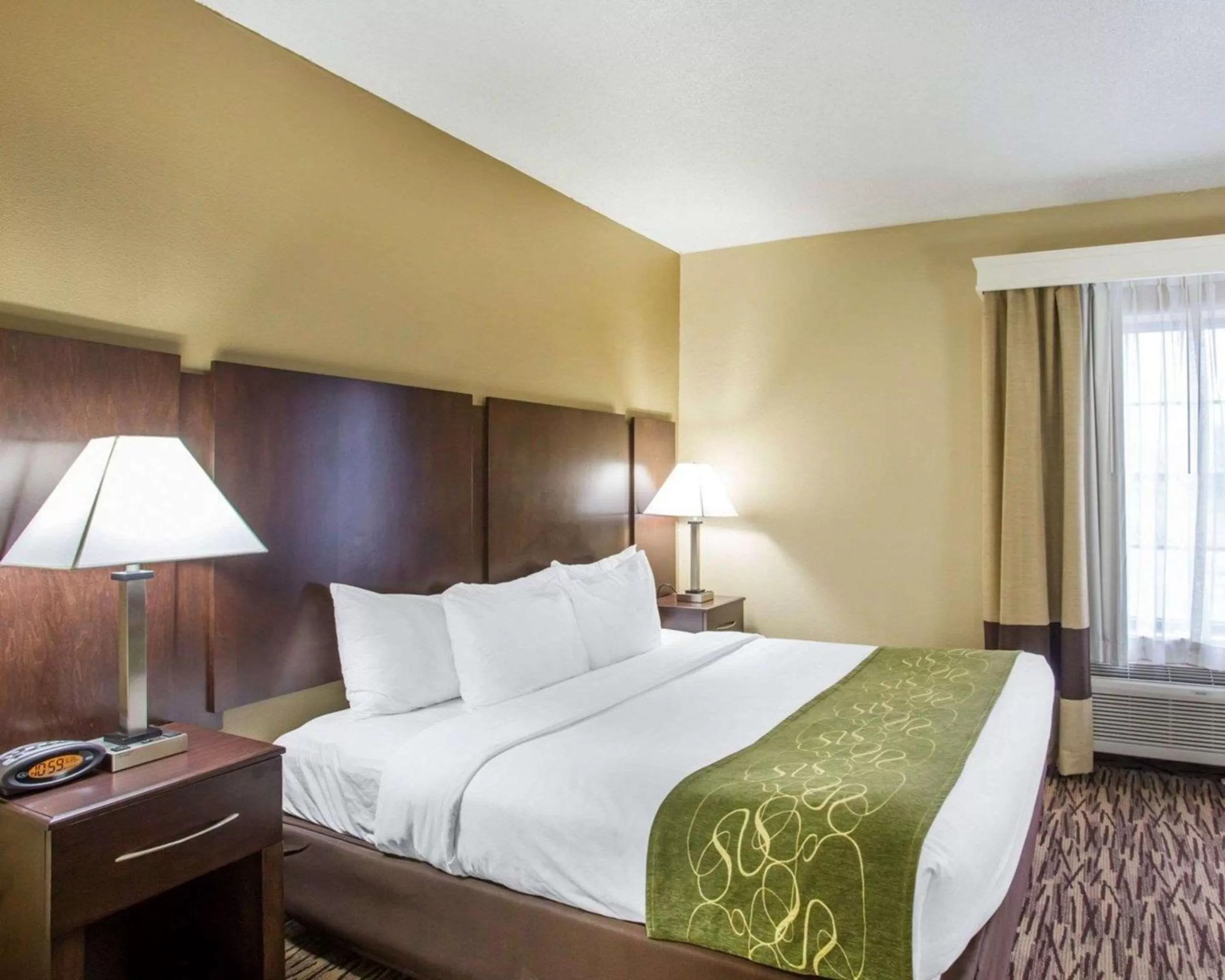 Standard King Room in Comfort Suites Lebanon