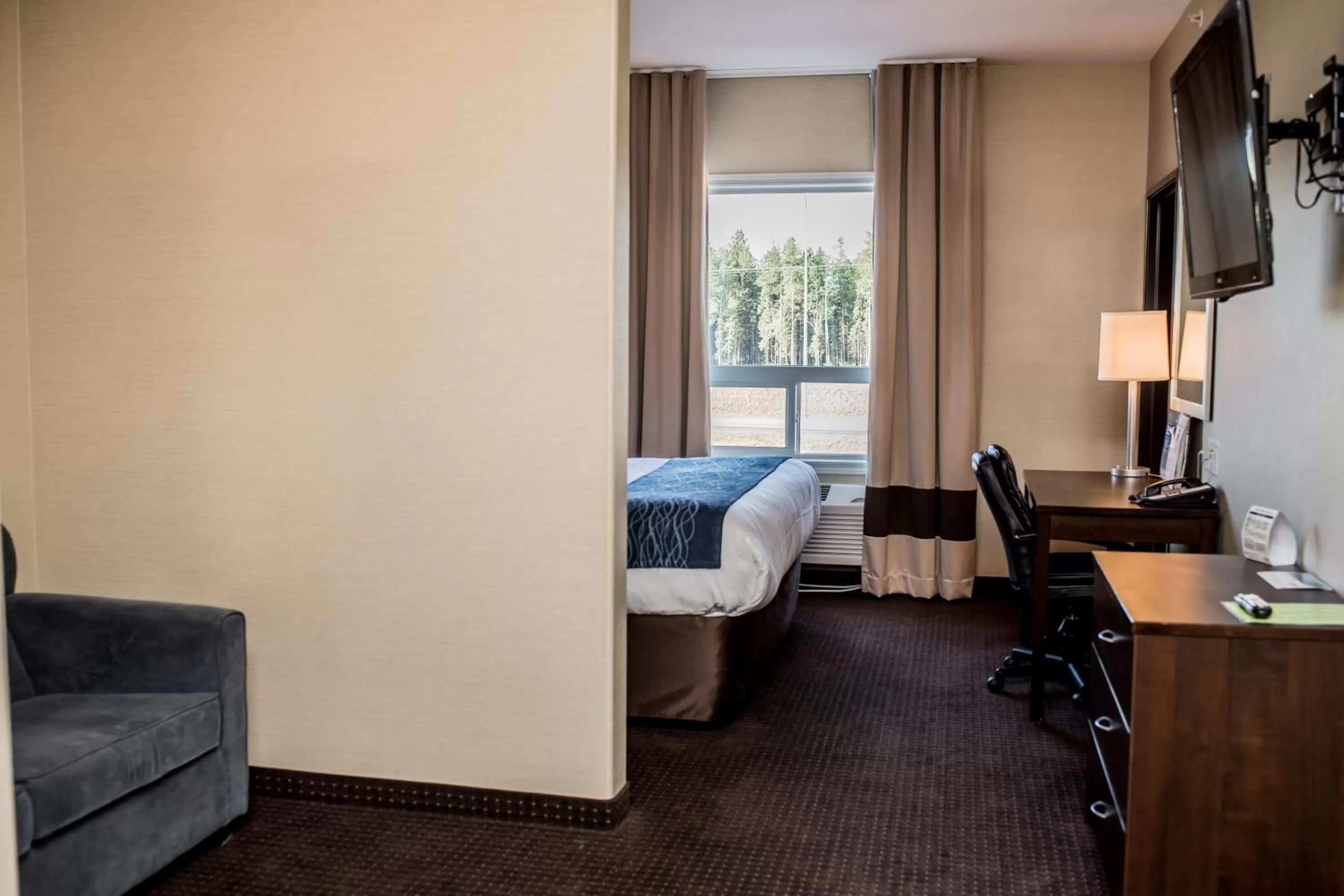 King Suite - Non-Smoking in Comfort Inn & Suites