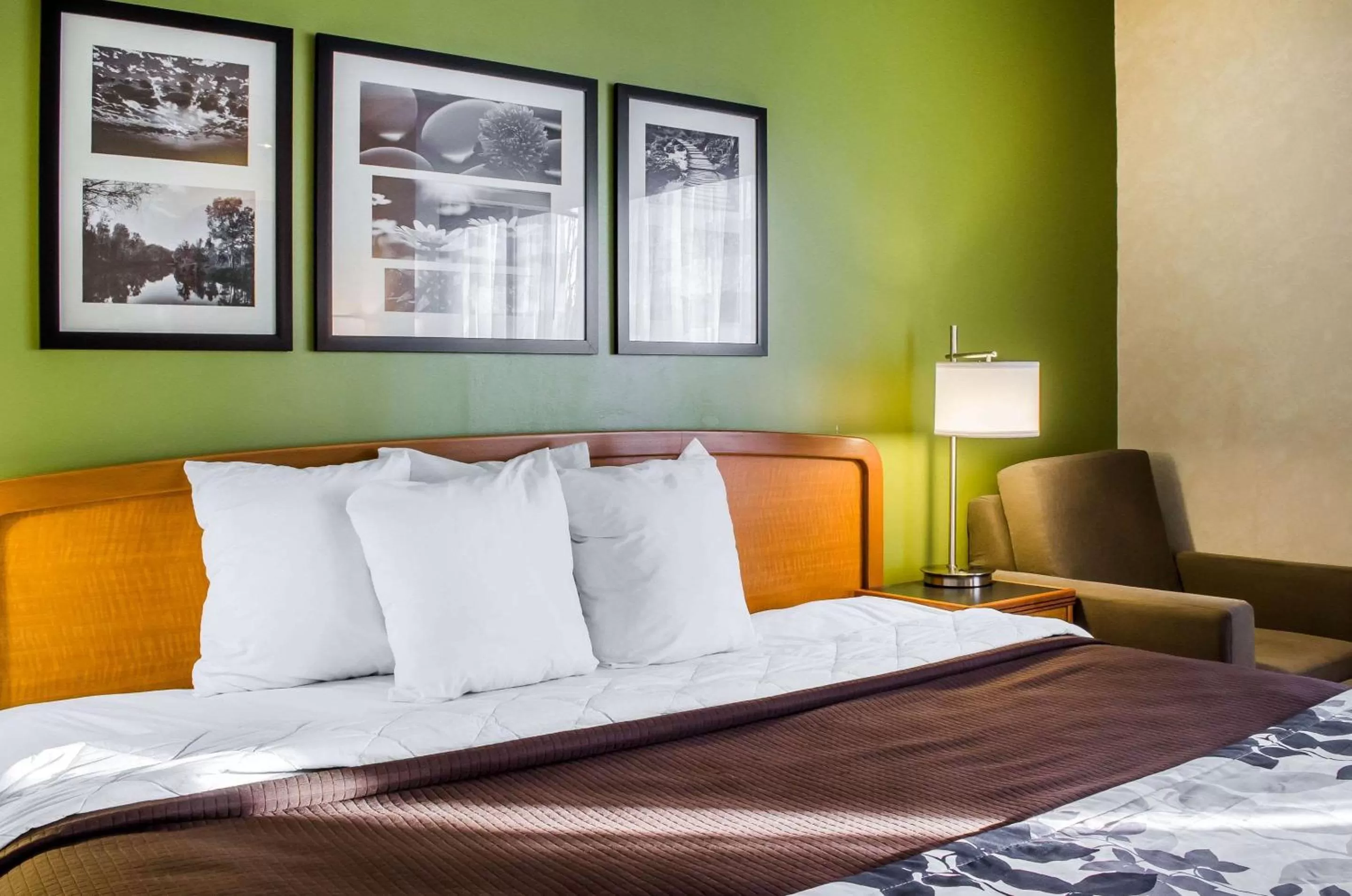 King Room - Non-Smoking in Sleep Inn & Suites Bensalem