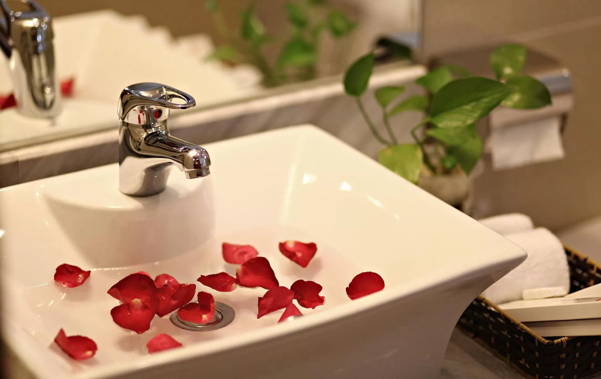 Deluxe Double Room - single occupancy in Blue Hanoi Hotel